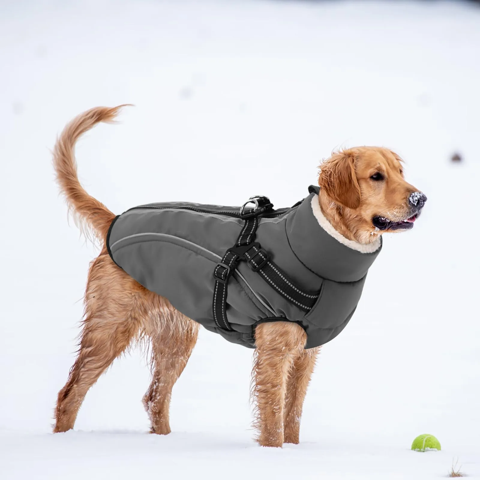CITÉTOILE Cappotto Invernale per Cani Impermeabile Giacca Calda Grigio S - immagine 6