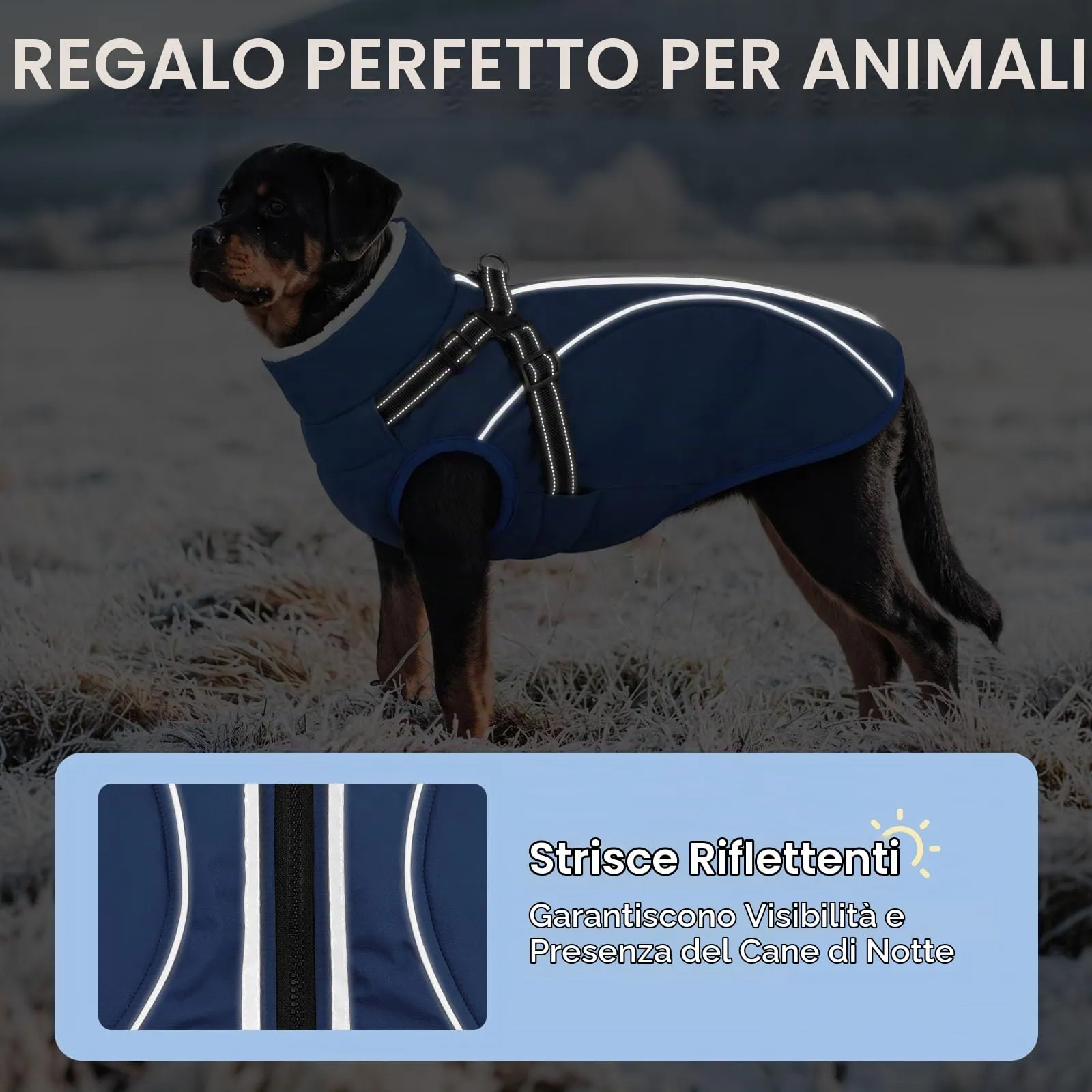 CITÉTOILE Cappotto Invernale per Cani Impermeabile Giacca Calda Blu XXL - immagine 3