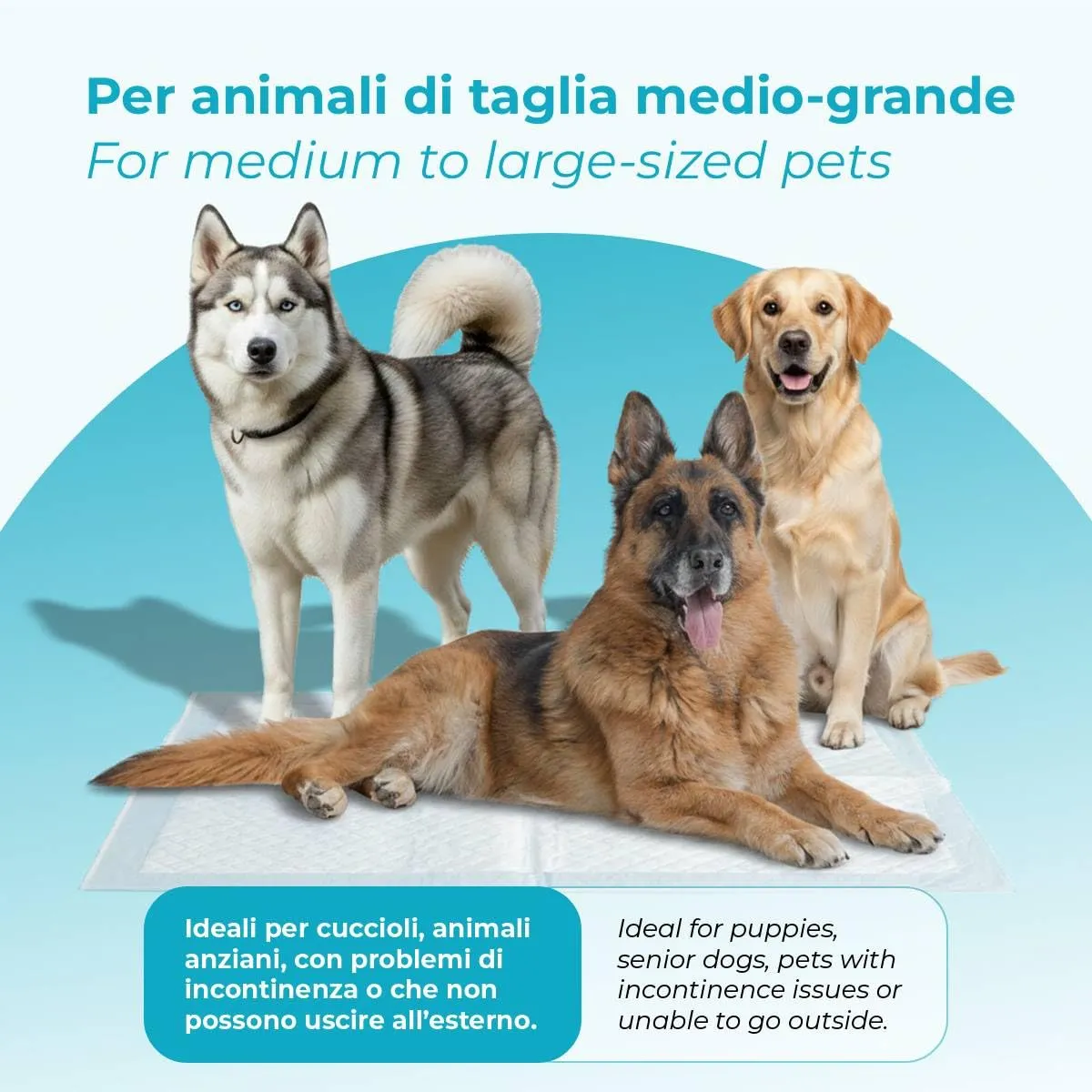 Centrovete - PipiPopo Tappetini Igienici Assorbenti Monouso - Per Cani e Gatti - Traversine con Design a 5 Strati - Angoli Adesivi e Neutralizzazione degli Odori - 1 Confezione da 100 Pezzi - 60x90cm - immagine 3