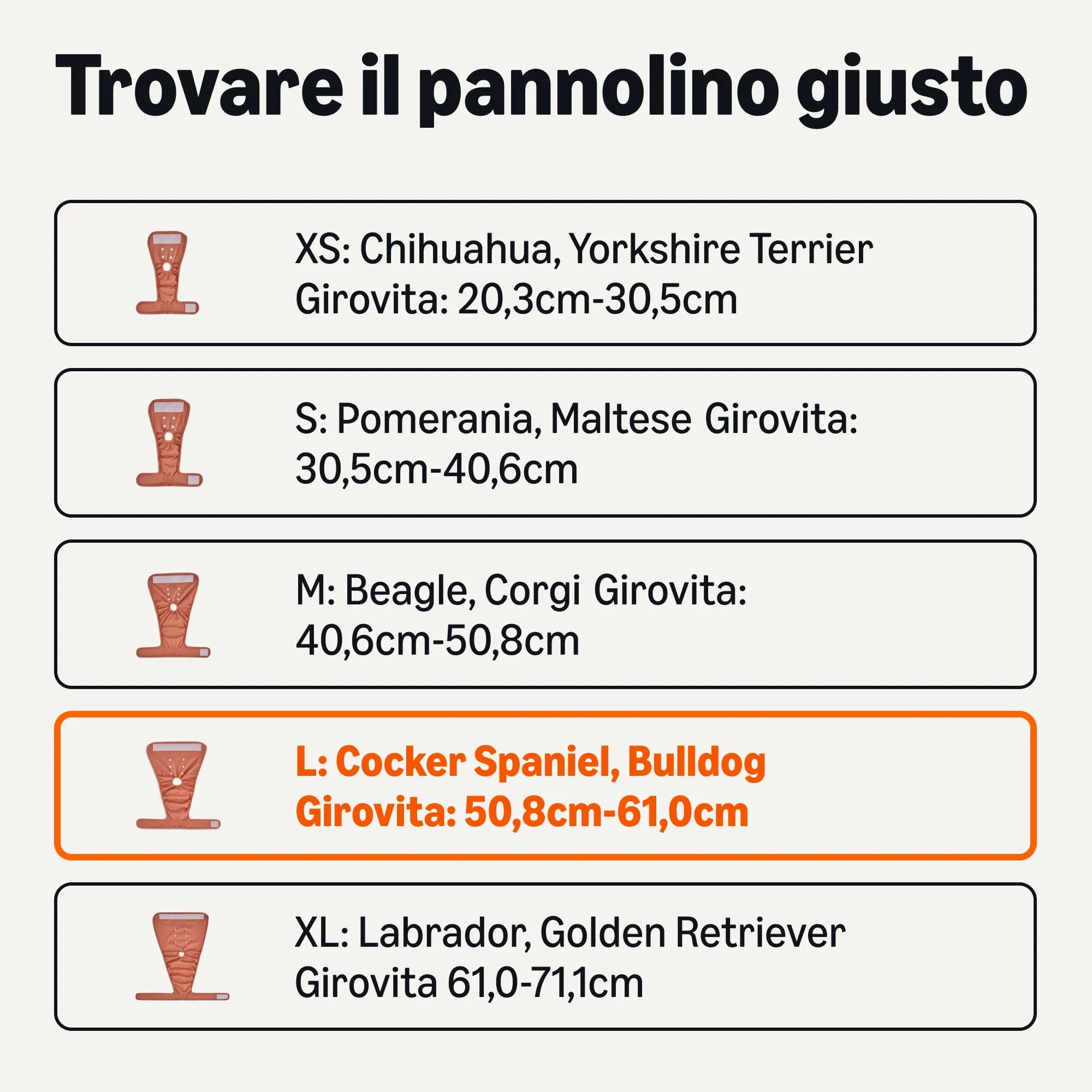 Amazon Basics, Confezione da 3 pannolini lavabili per cani femmine, taglia L - immagine 3