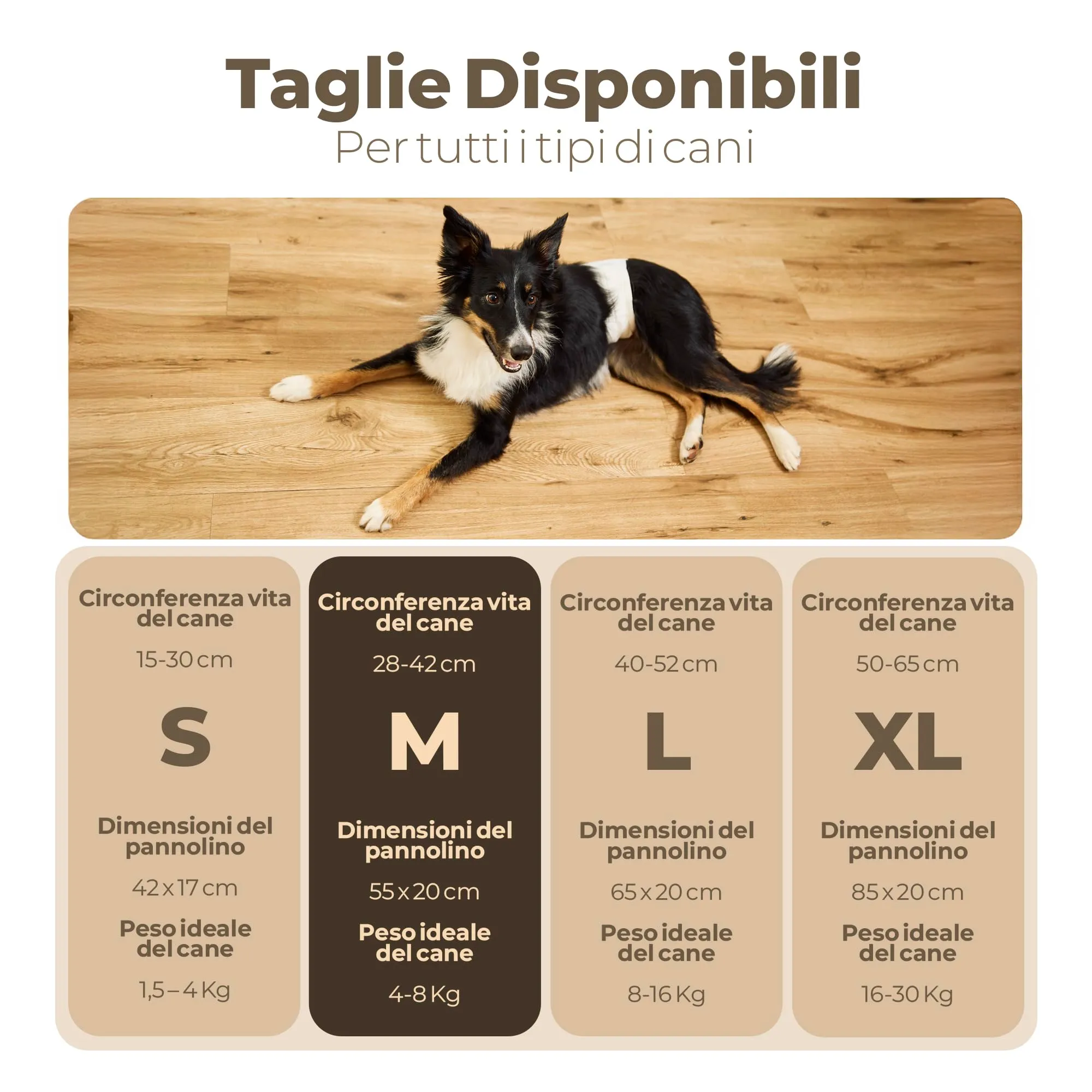 MIKAU - Pannolini per cani maschi ultra assorbenti (confezione da 48), vestibilità anti-perdite, comodi e resistenti, facile da posizionare. Incluso il rotolo del sacchetto per la cacca - immagine 2
