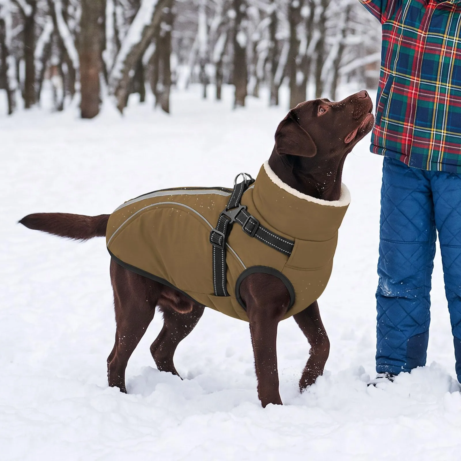 CITÉTOILE Cappotto Invernale per Cani Impermeabile Giacca Calda Marrone XL - immagine 7
