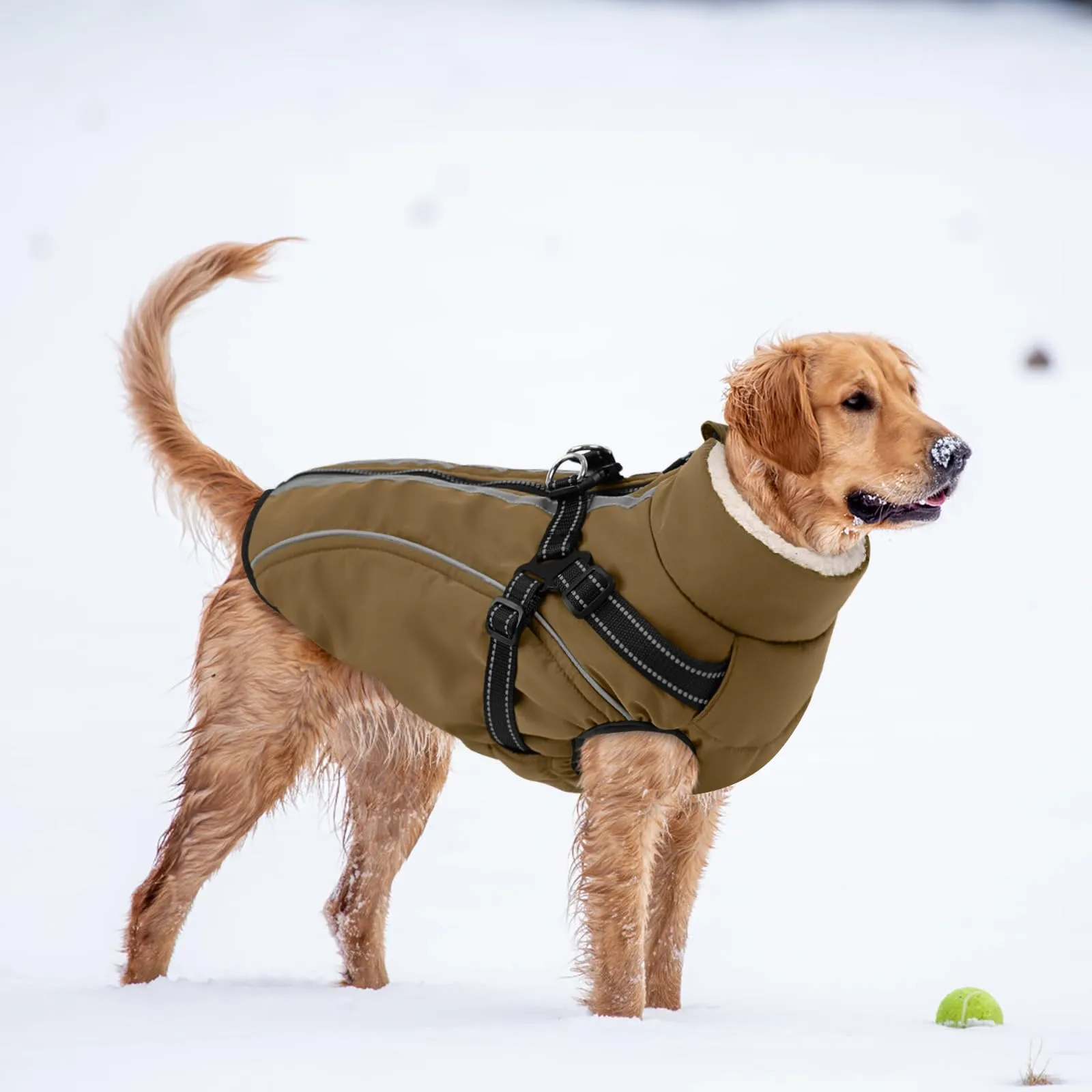 CITÉTOILE Cappotto Invernale per Cani Impermeabile Giacca Calda Marrone M - immagine 6