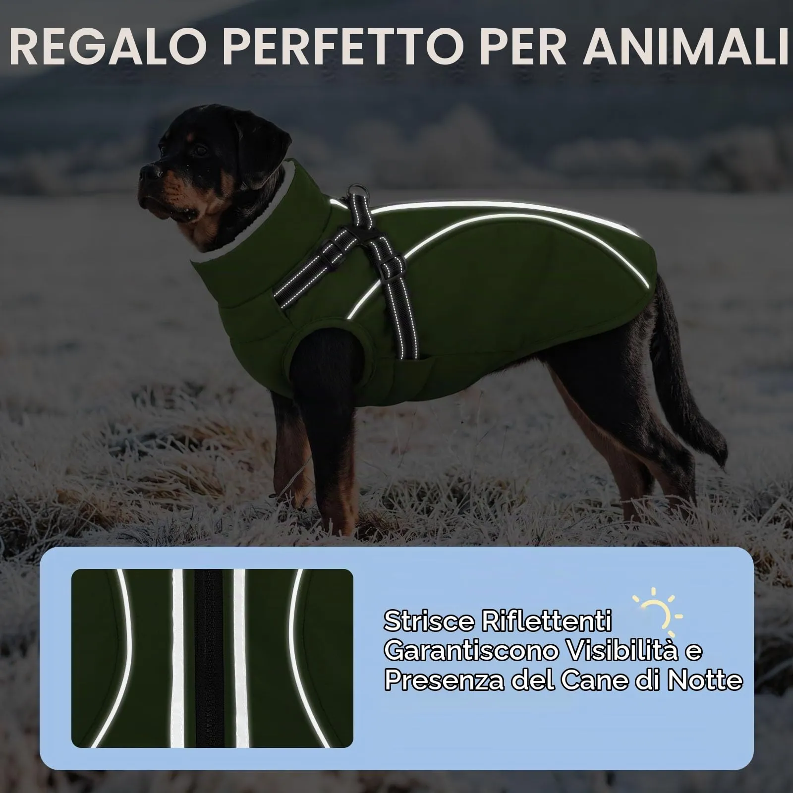 CITÉTOILE Cappotto Invernale per Cani Impermeabile Giacca Calda Verde XS - immagine 3