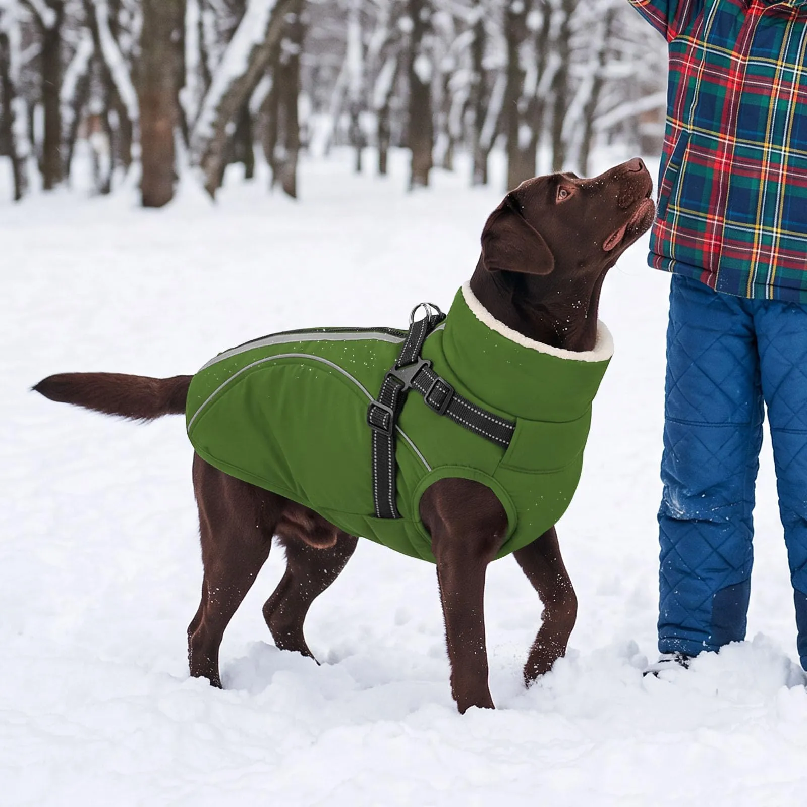 CITÉTOILE Cappotto Invernale per Cani Impermeabile Giacca Calda Verde XS - immagine 7
