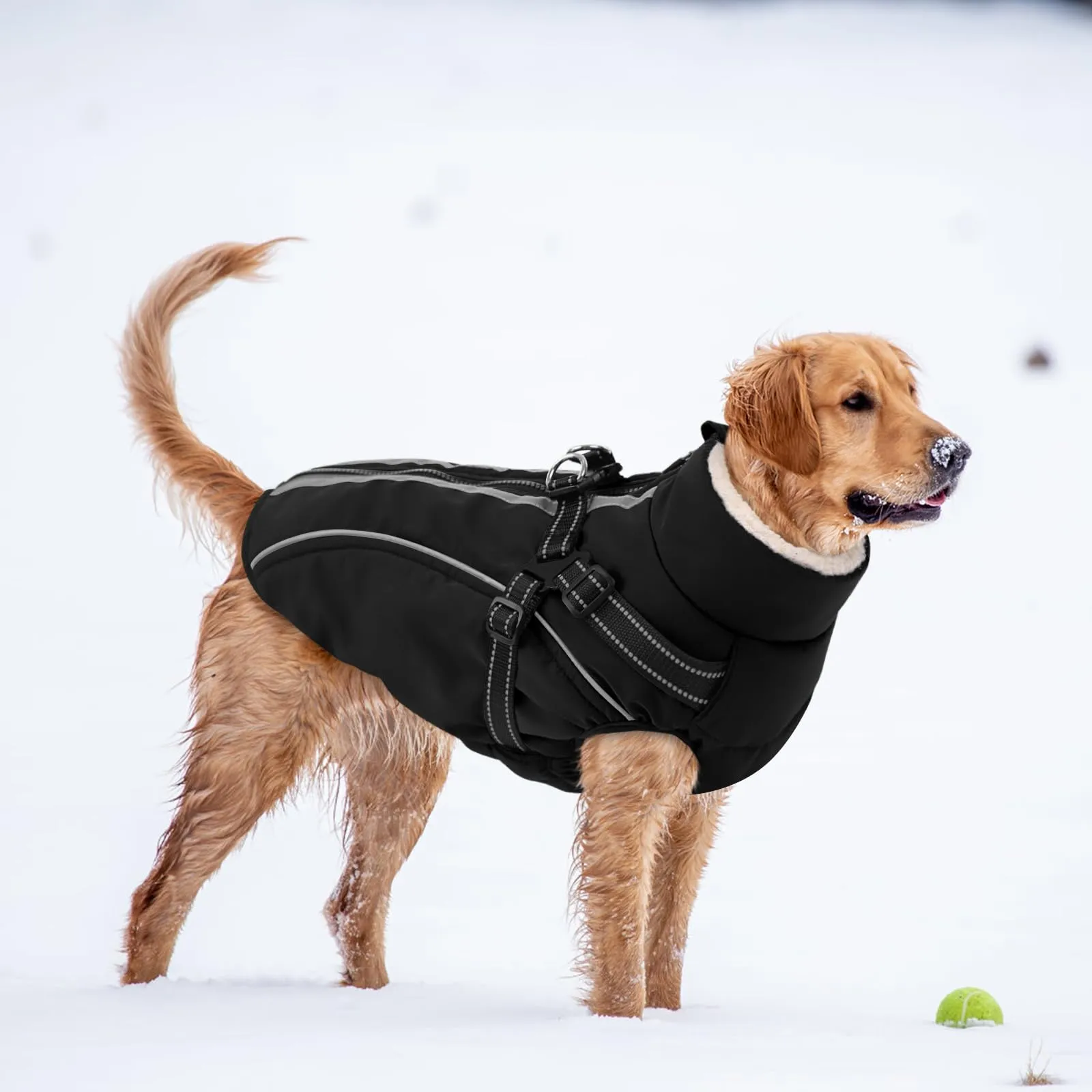 CITÉTOILE Cappotto Invernale per Cani Impermeabile Giacca Calda Nero XL - immagine 6