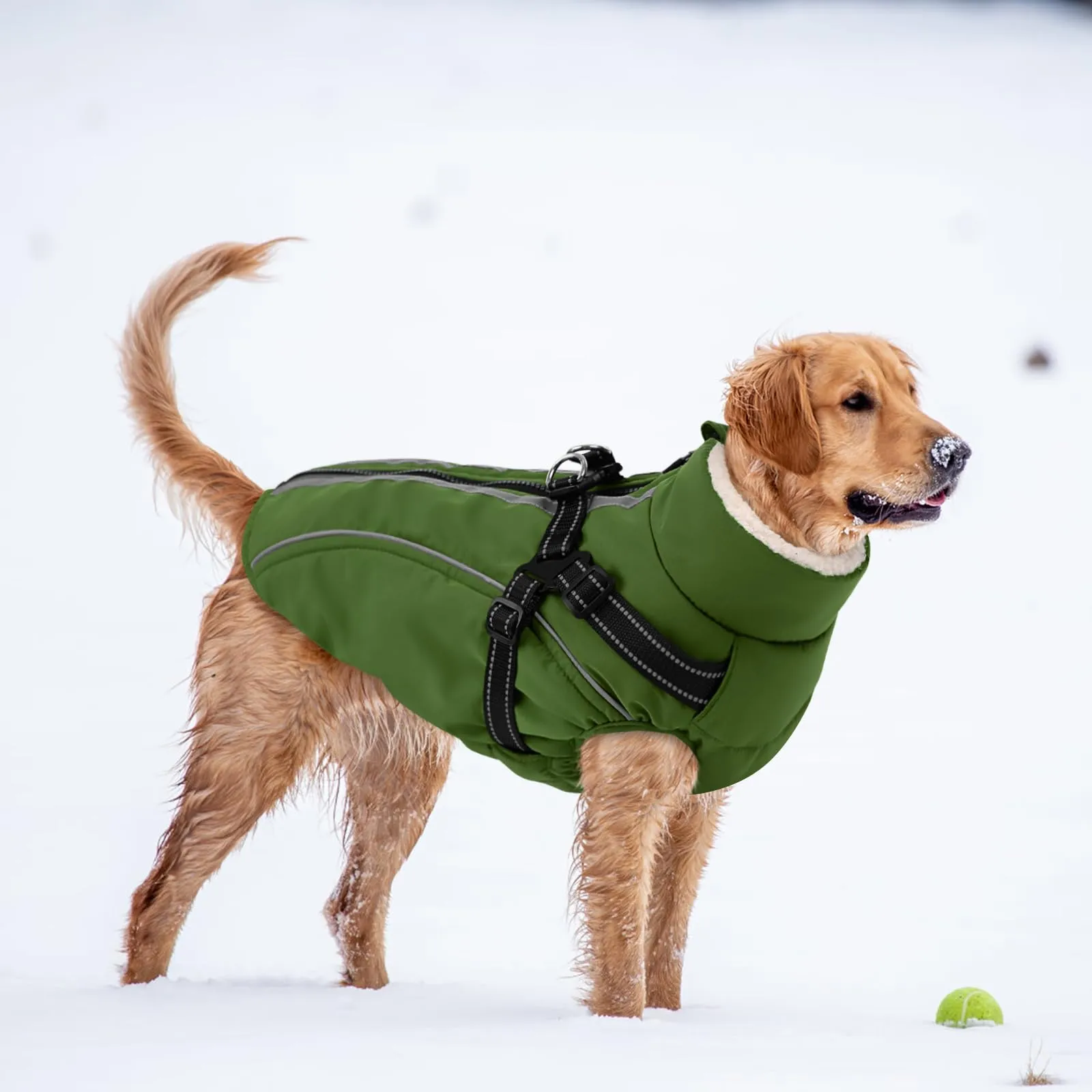 CITÉTOILE Cappotto Invernale per Cani Impermeabile Giacca Calda Verde XL - immagine 6