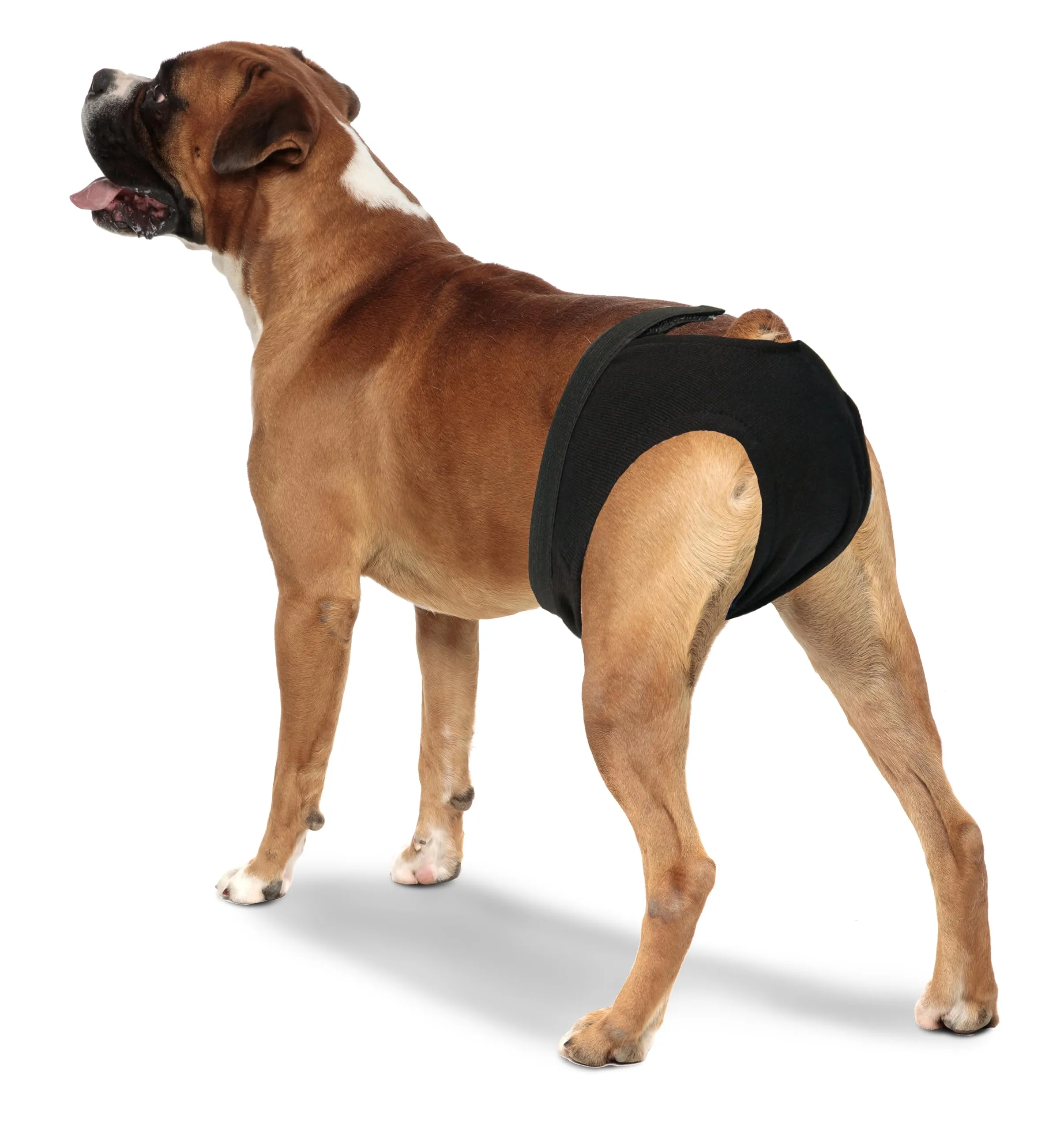 Croci - Croci C 7 If Mutandina Igienica Doggy, Pannolino per cani, Nero, M (50 cm) - immagine 5