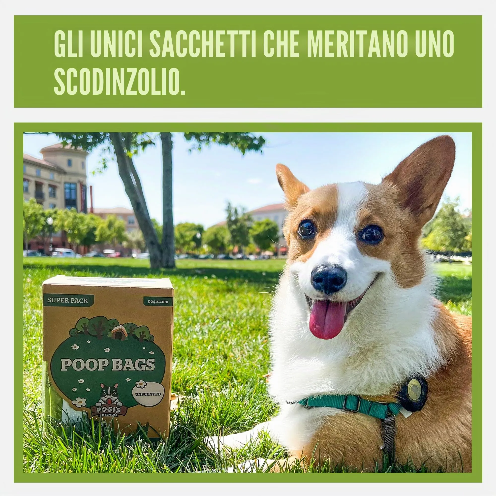 Pogi sacchetti per cani con manici, senza profumo, 900 pezzi - immagine 2