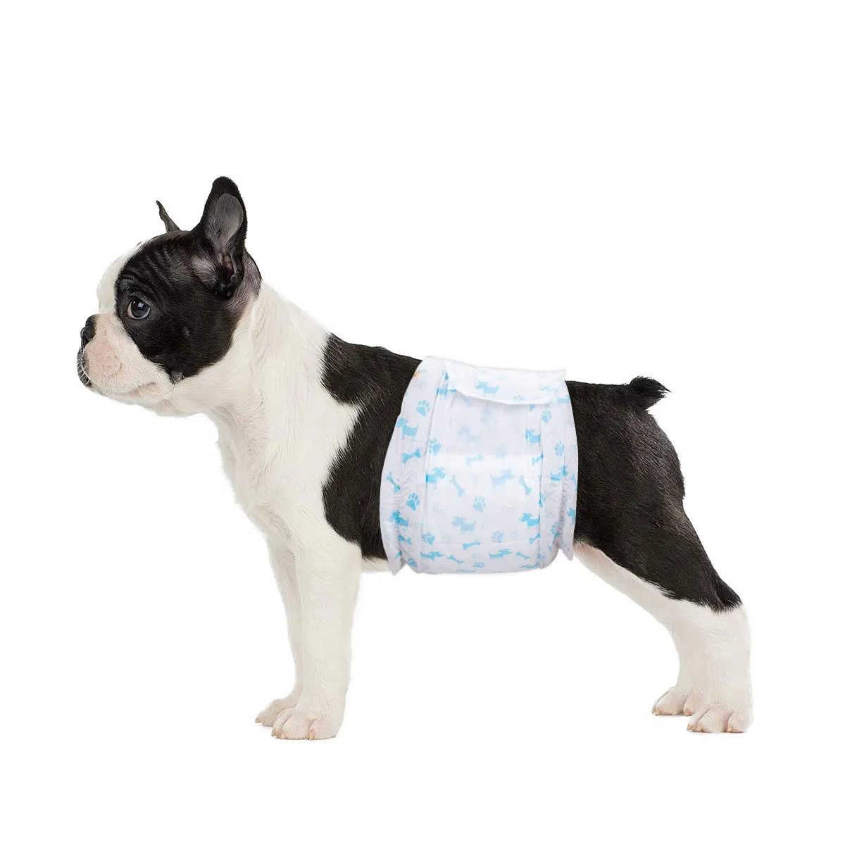 Flying Paws Pannolini usa e getta per cani Involucri maschili - Pannolini morbidi super assorbenti per cani maschi per problemi di marcatura di cani maschi, incontinenza urinaria - immagine 1