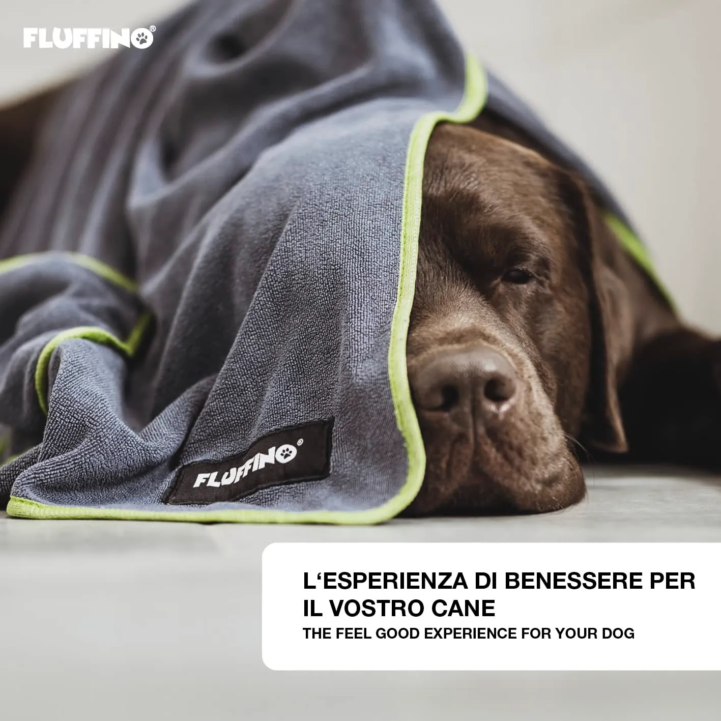 FLUFFINO® Set di 2 Asciugamani per Cani 90 x 50 cm per Cani di Piccola e Media Taglia, Estremamente assorbenti e Morbidi | Lavabili a 60°C, Asciugamano in Microfibra ad Asciugatura Rapida - immagine 5