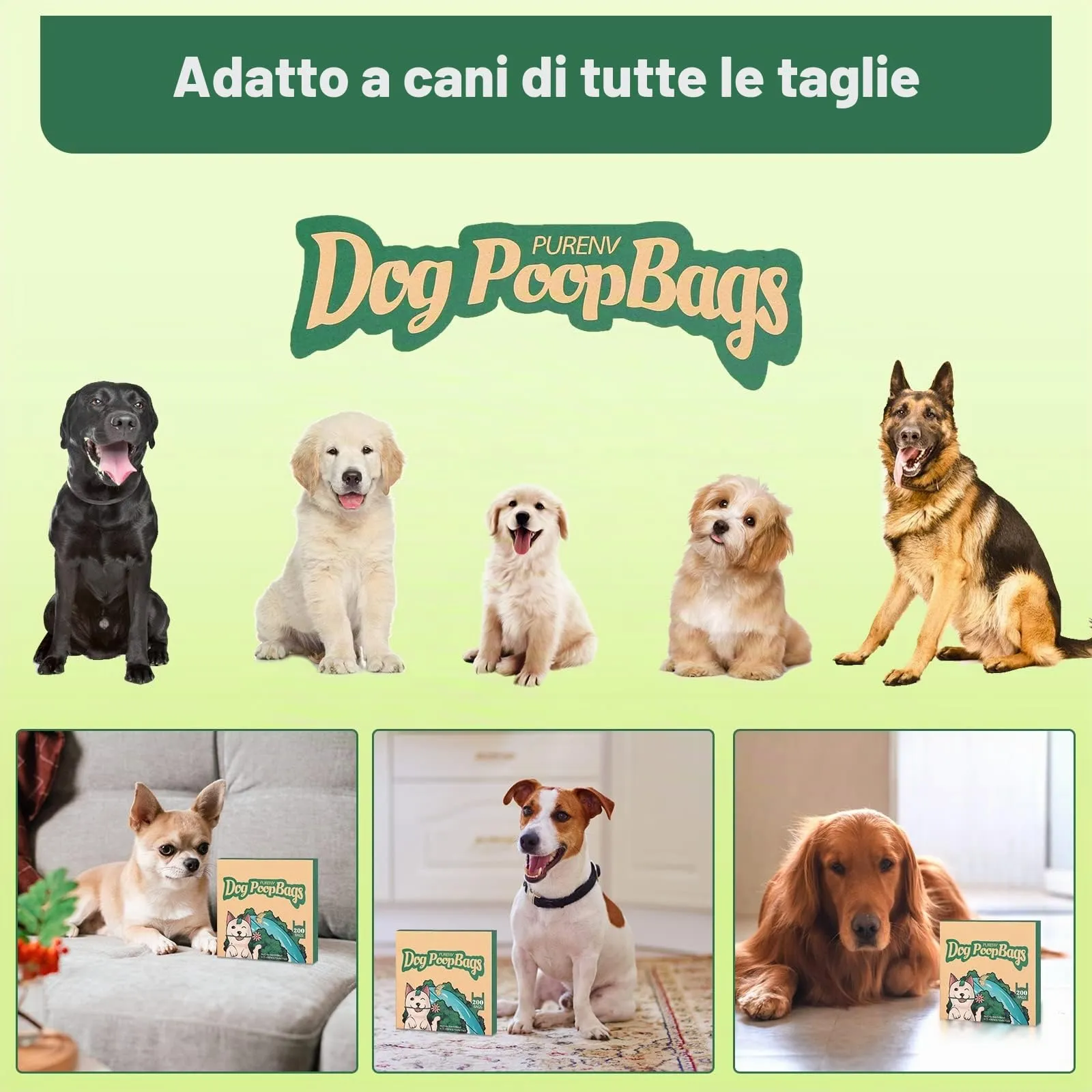 PURENV Biodegradabili Sacchetti Cane, 200 Pezzi Ecologico Sacchettini per Pupù per Cani con Manici, 18 * 38 CM Extra Grande, 100% Prova di Perdite Ultra spessa, Super Forte, con Dispenser Scatola - immagine 6