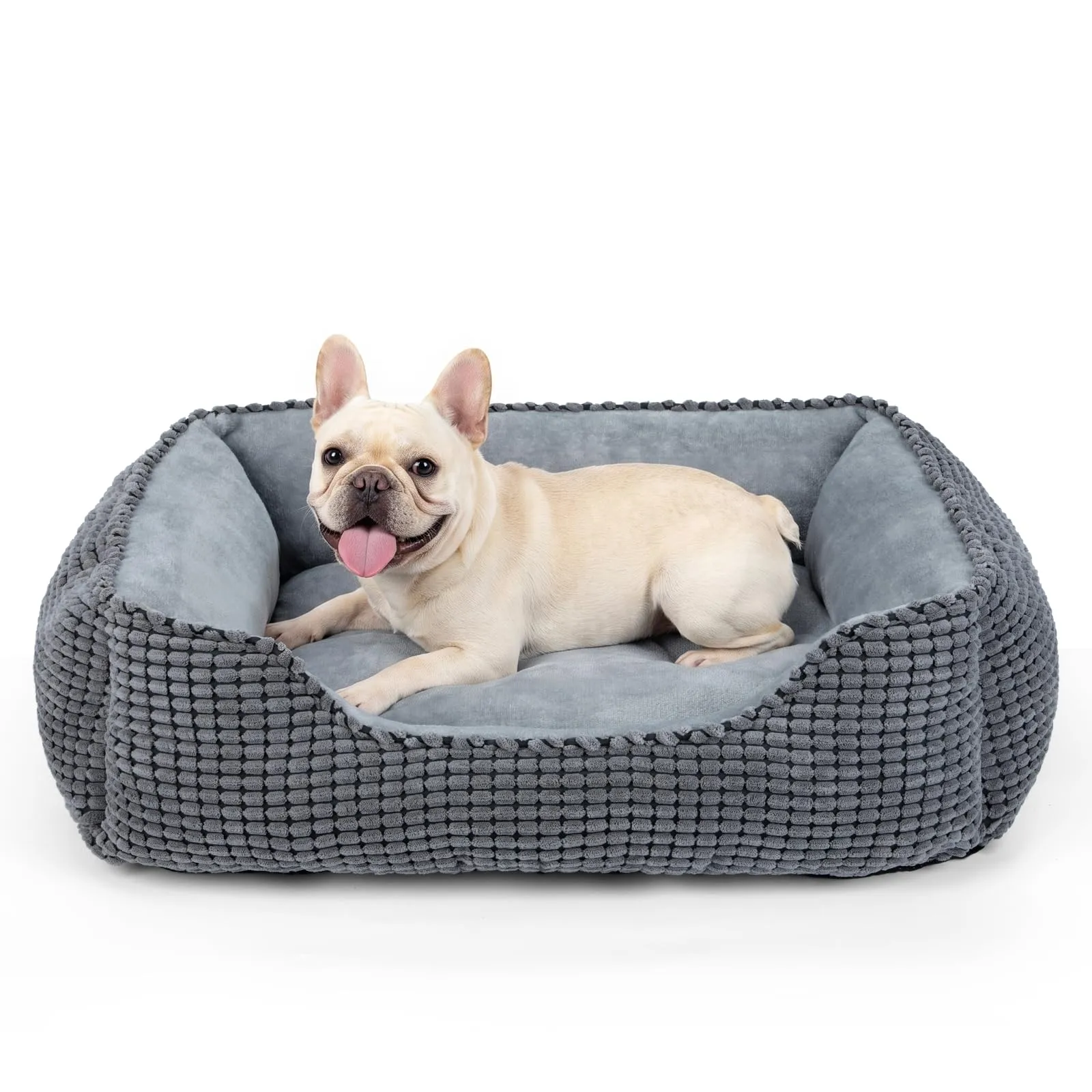 JOEJOY Cuccia Cane Interno Piccola, Cuccia per Cani Lavabile, 51x48x15cm - immagine 1