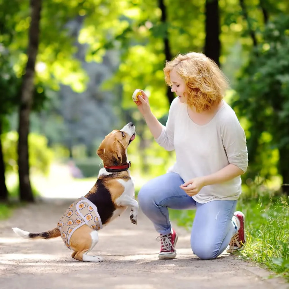 VSSHE Pannolini per cani riutilizzabili, 3 pezzi, ad alta assorbenza, per donne, lavabili, assorbenti, regolabili, per cani e donne, taglia S - immagine 7