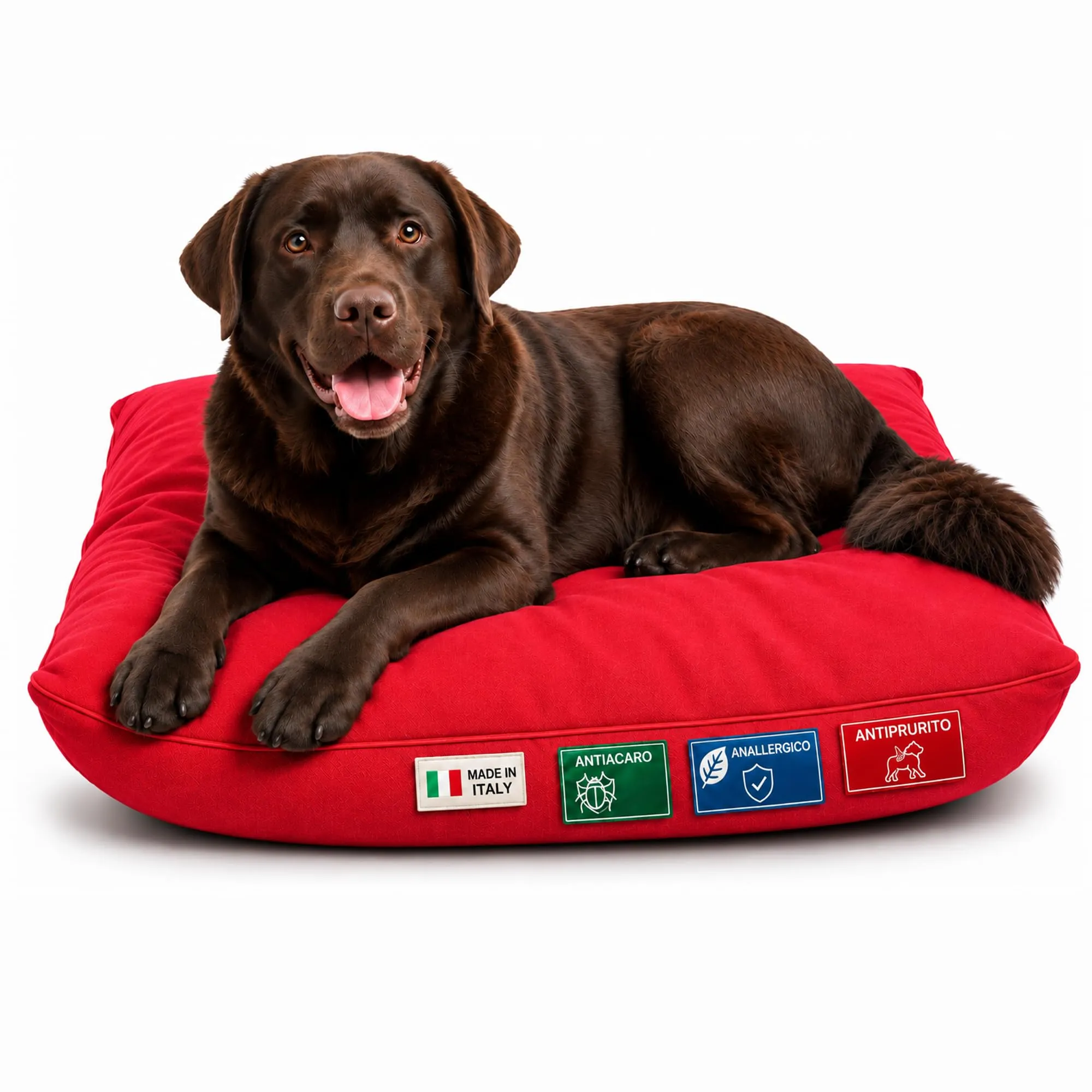 Dorian Home - Cuccia Cane Interno Taglia Grande, Media e Piccola - Cuscino Cane e Gatto Lavabile senza Sfoderare, Extra Imbottito e Morbido - Cuscino per Cani e Gatti Antimacchia Resistente ai Graffi - immagine 1