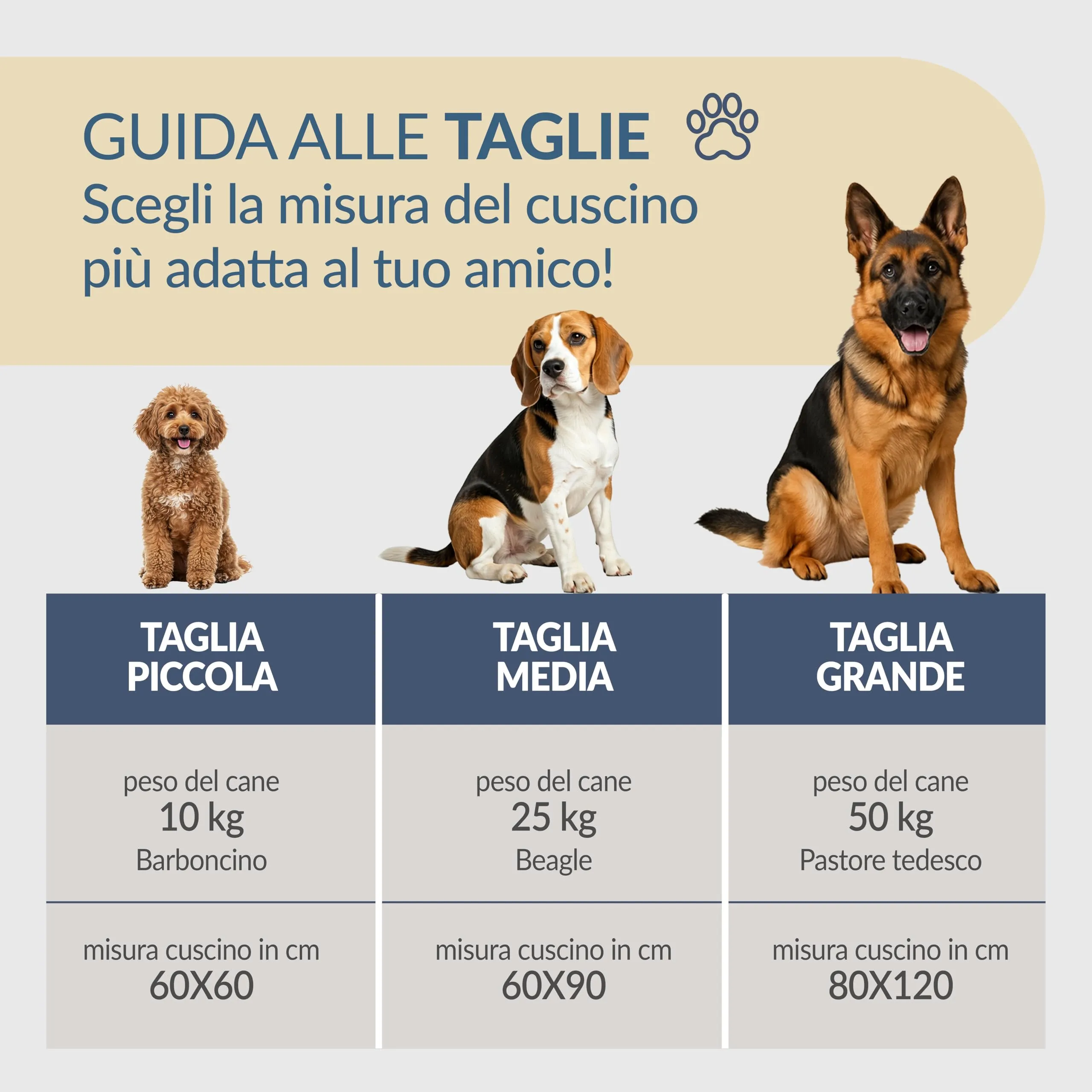 Dorian Home - Cuccia Cane Interno Taglia Grande, Media e Piccola - Cuscino Cane e Gatto Lavabile senza Sfoderare, Extra Imbottito e Morbido - Cuscino per Cani e Gatti Antimacchia Resistente ai Graffi - immagine 2