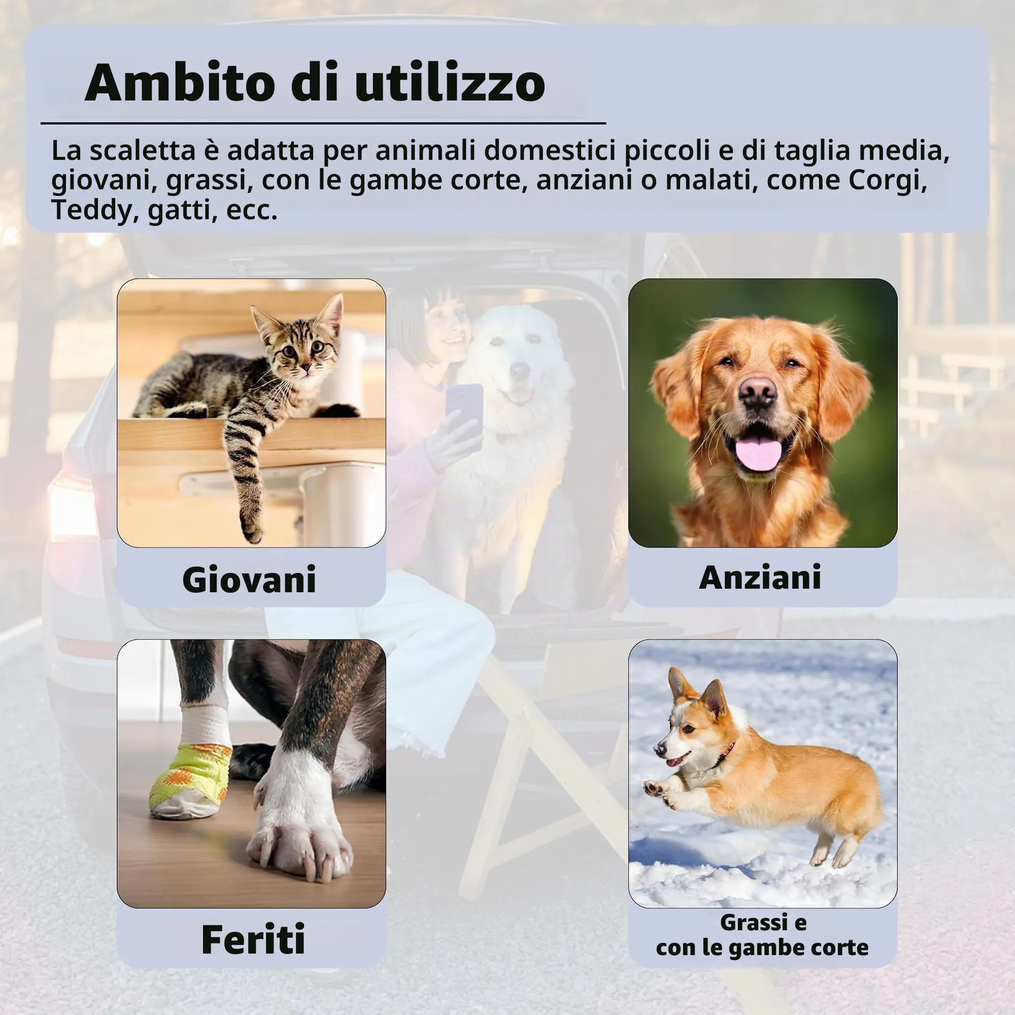 UISEBRT Scala per cani pieghevole 2 in 1, scala per animali domestici in legno, con inserto antiscivolo, rampa per cani Petwalk fino a 80 kg - immagine 3