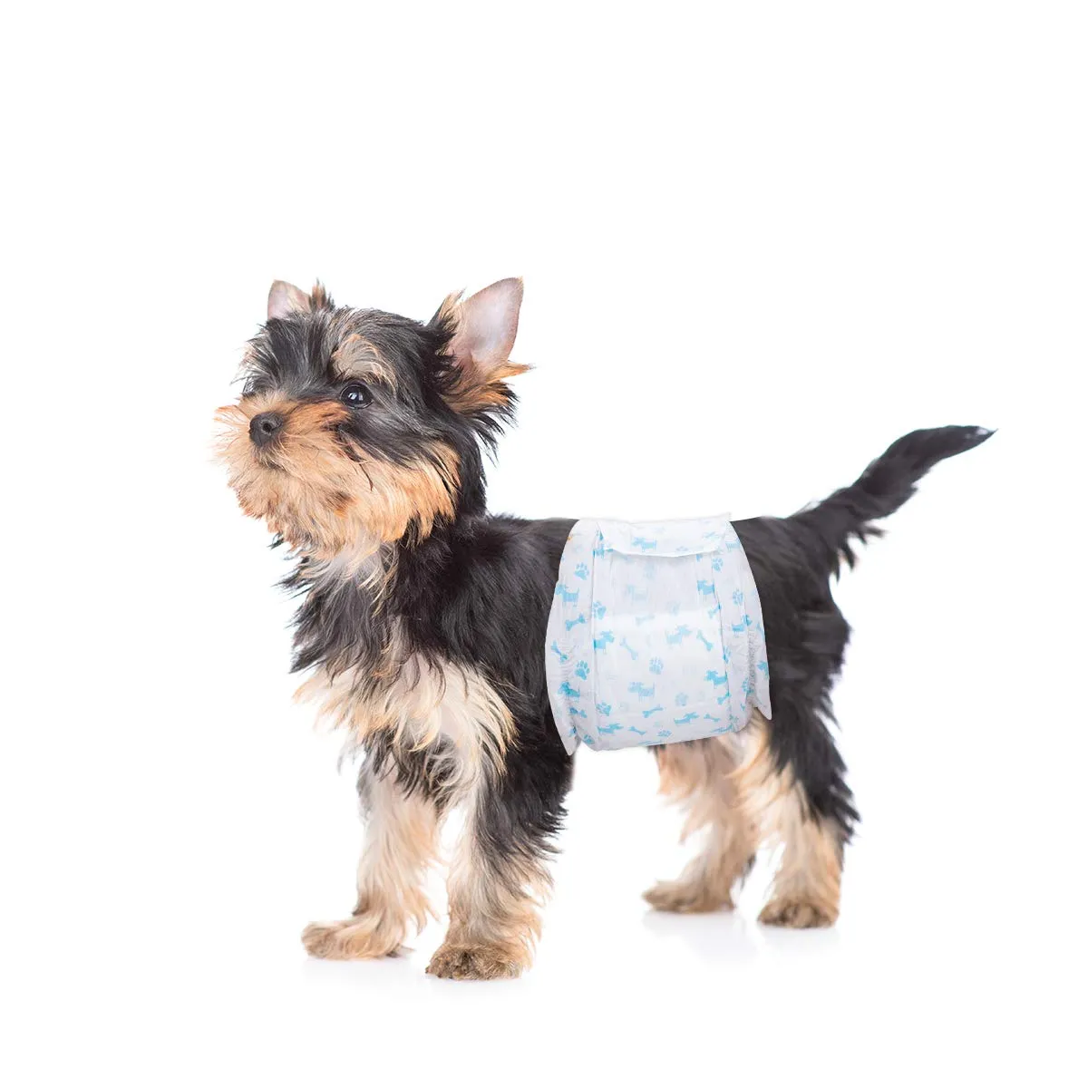 Flying Paws Pannolini usa e getta per cani maschi confezione da 26 XS, pannolini avvolgenti per cani maschi, con vita 15-33 cm, cucciolo extra piccolo - immagine 1