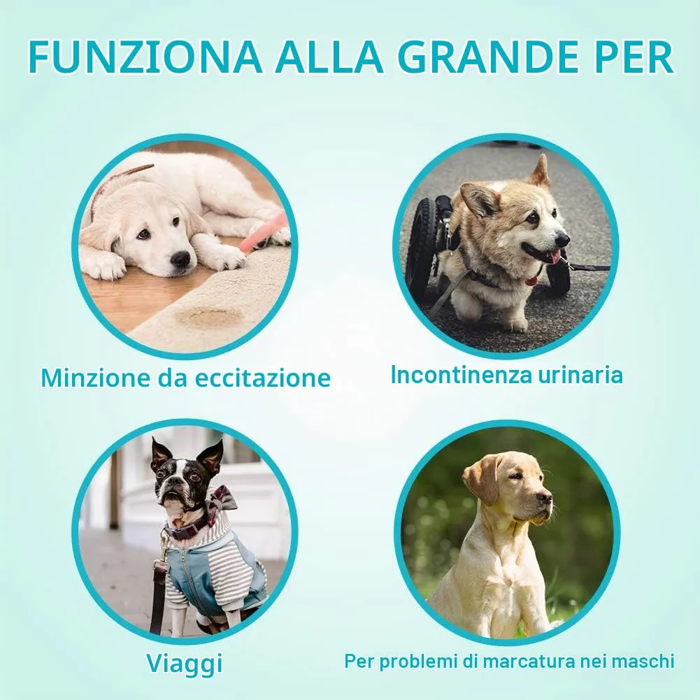 Flying Paws Pannolini usa e getta per cani maschi confezione da 26 XS, pannolini avvolgenti per cani maschi, con vita 15-33 cm, cucciolo extra piccolo - immagine 5