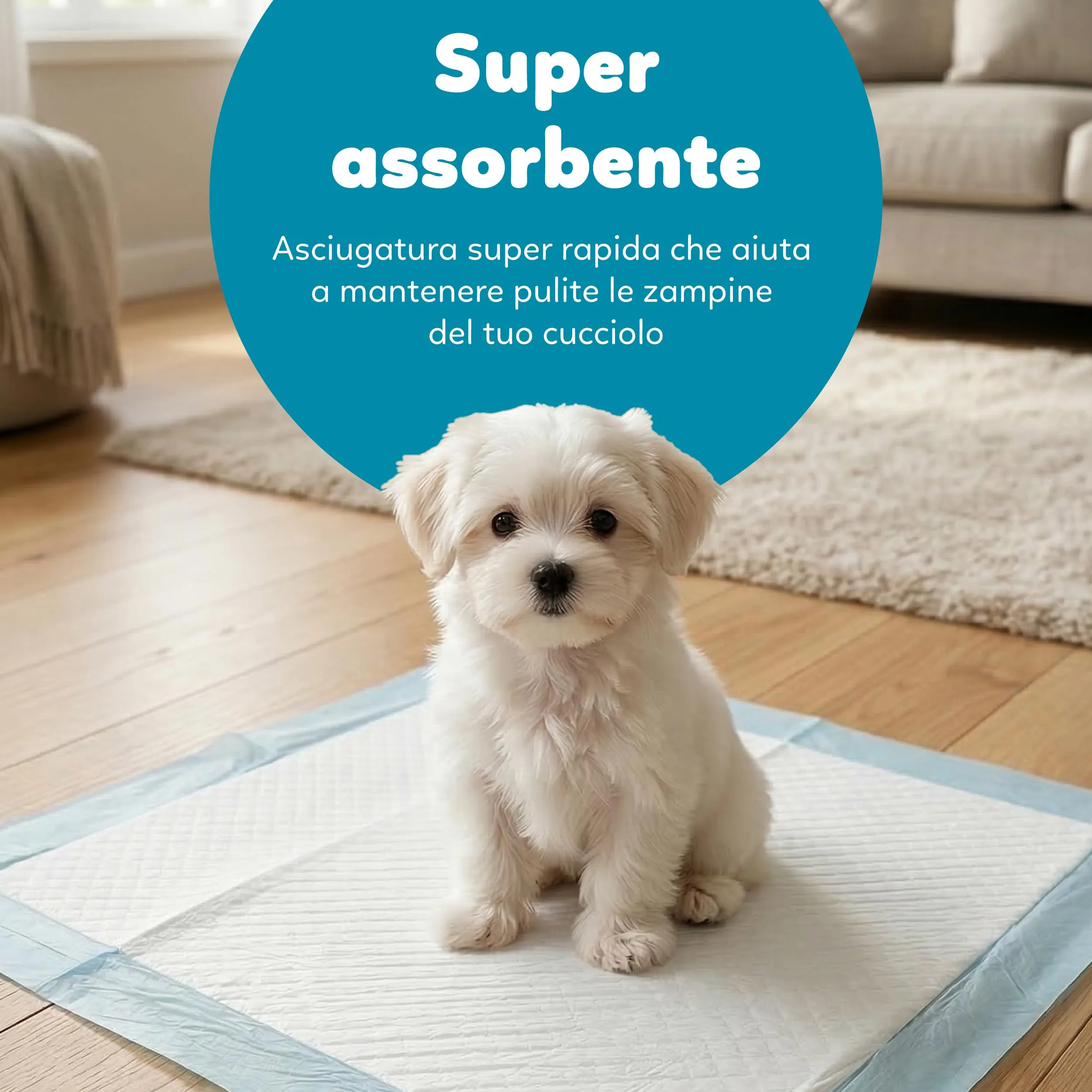 AQPET Tappetini Igienici Assorbenti per Cani e Cuccioli 60x60 cm, 100 Pezzi - immagine 5