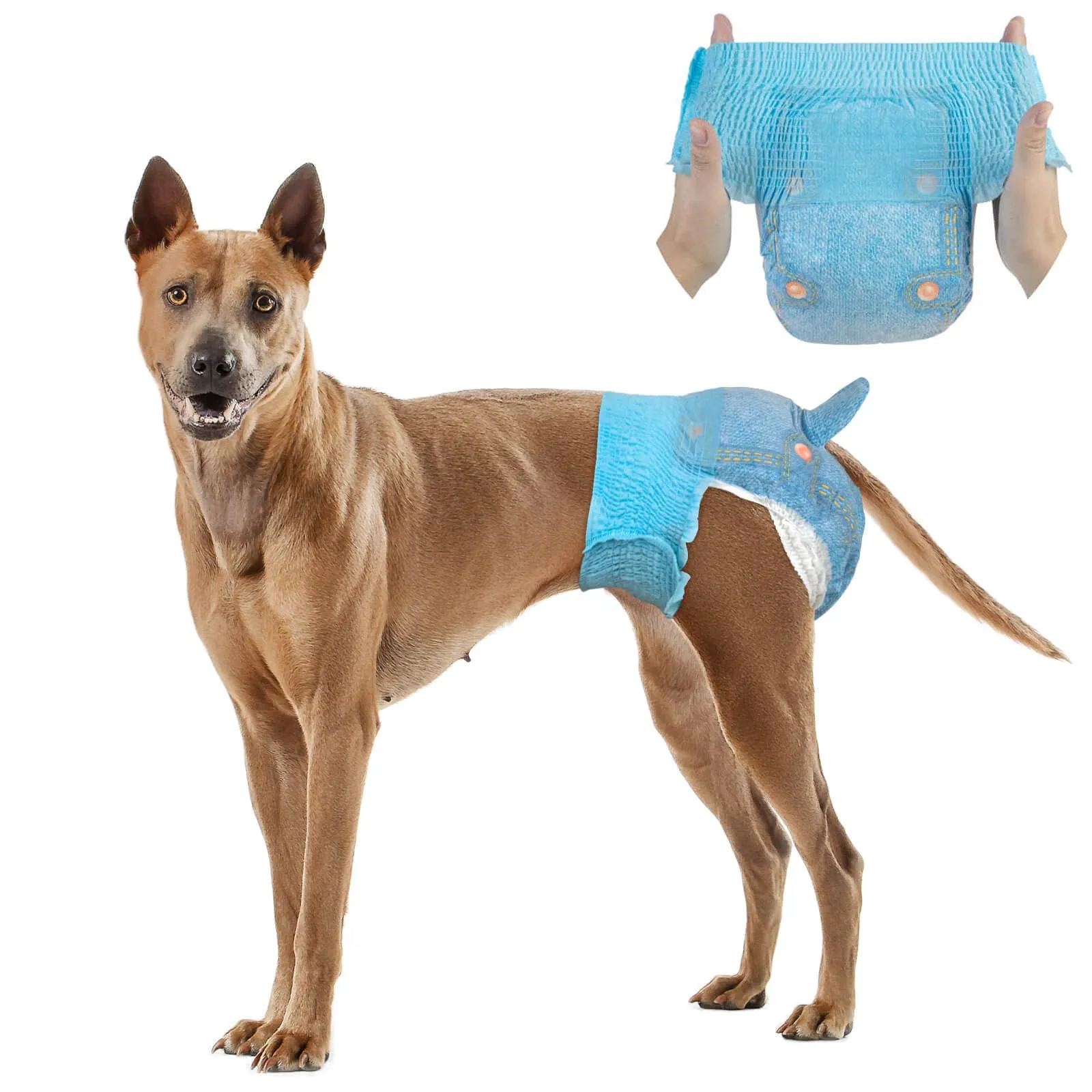 DONO Pannolini Cani Femmine, 10 pezzi, mutandine mestruali per cani con elastico in vita, pannolini pull-up Dogie, super assorbenti, XL (38-58 cm) - immagine 1