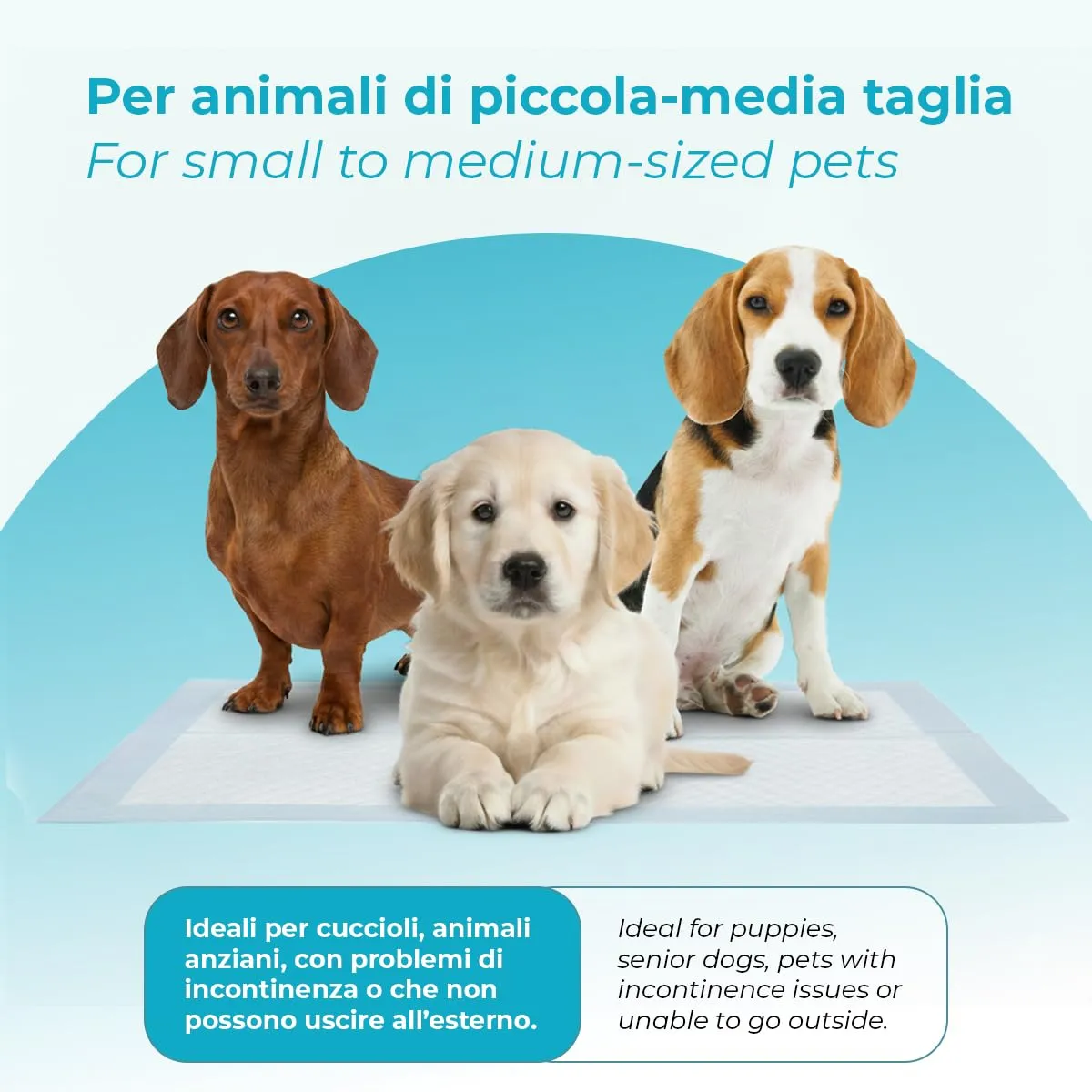 Centrovete - PipiPopo Tappetini Igienici Assorbenti Monouso - Per Cani e Gatti - Traversine con Design a 5 Strati - Angoli Adesivi e Neutralizzazione degli Odori - 1 Confezione da 100 Pezzi - 60x60cm - immagine 3