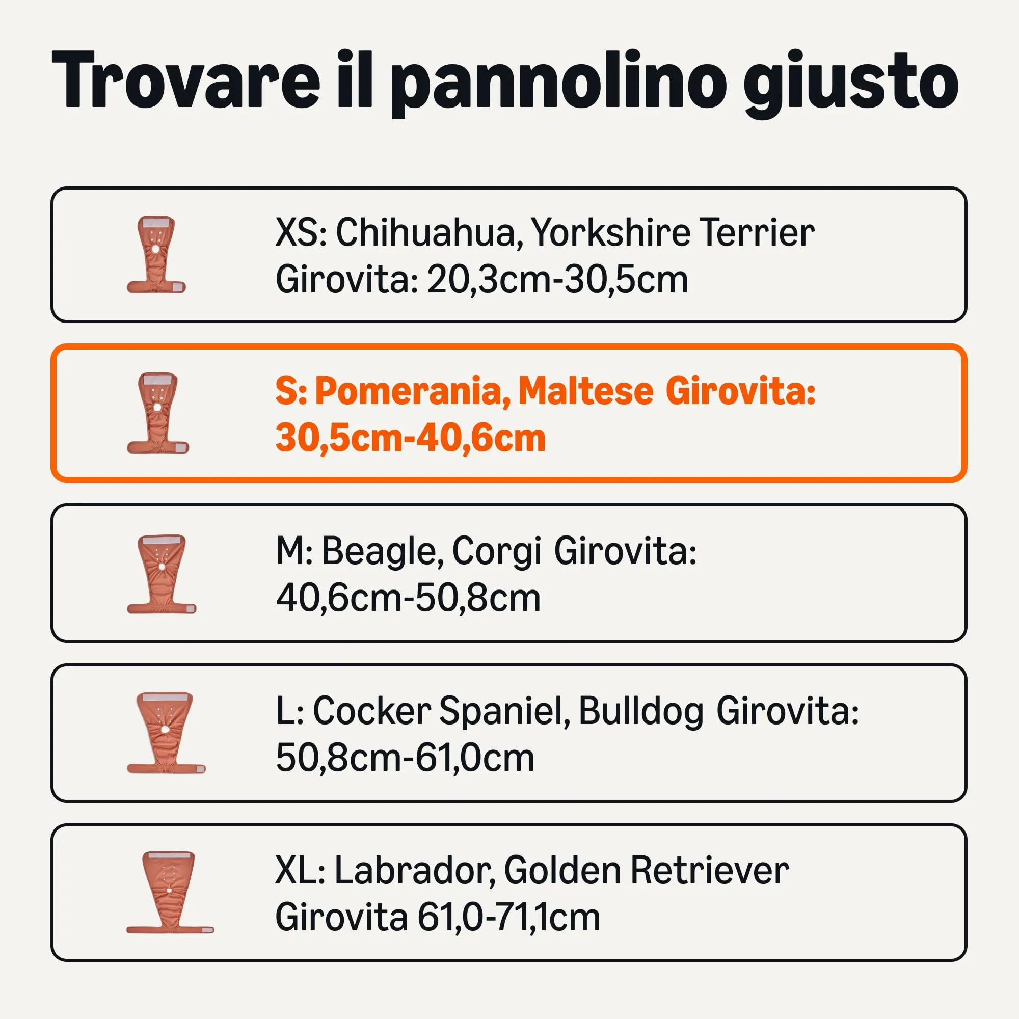 Amazon Basics, Confezione da 3 pannolini lavabili per cani femmine, taglia S - immagine 3