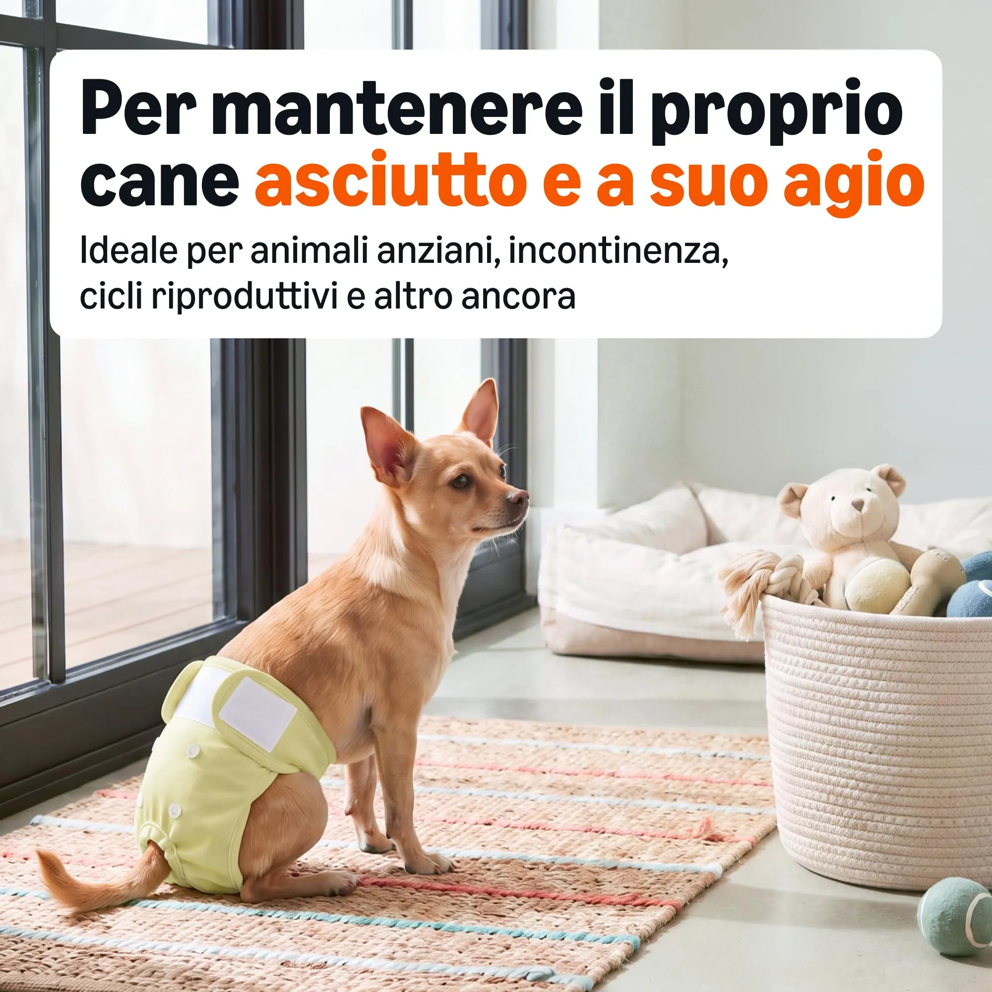 Amazon Basics, Confezione da 3 pannolini lavabili per cani femmine, taglia XL - immagine 2