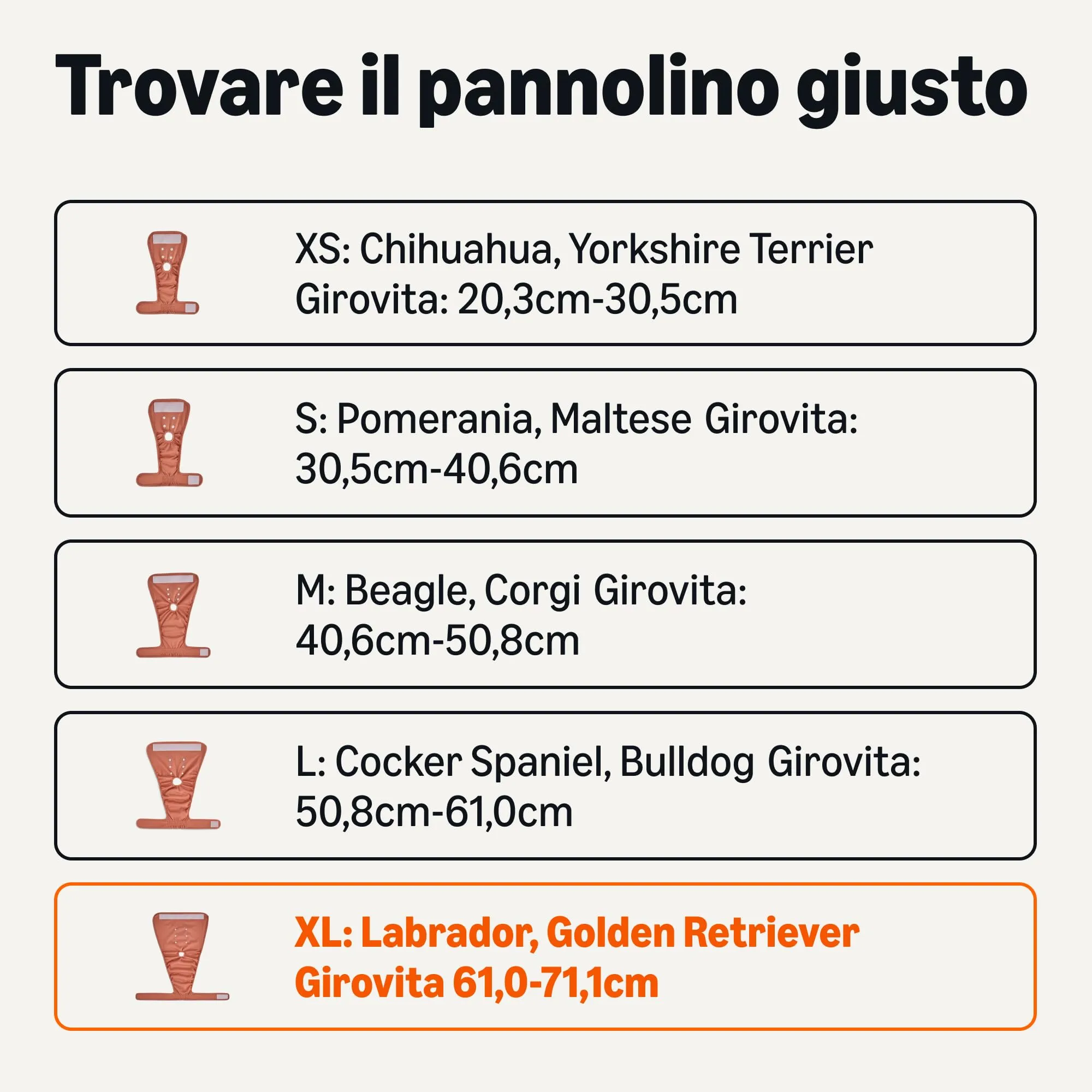 Amazon Basics, Confezione da 3 pannolini lavabili per cani femmine, taglia XL - immagine 3