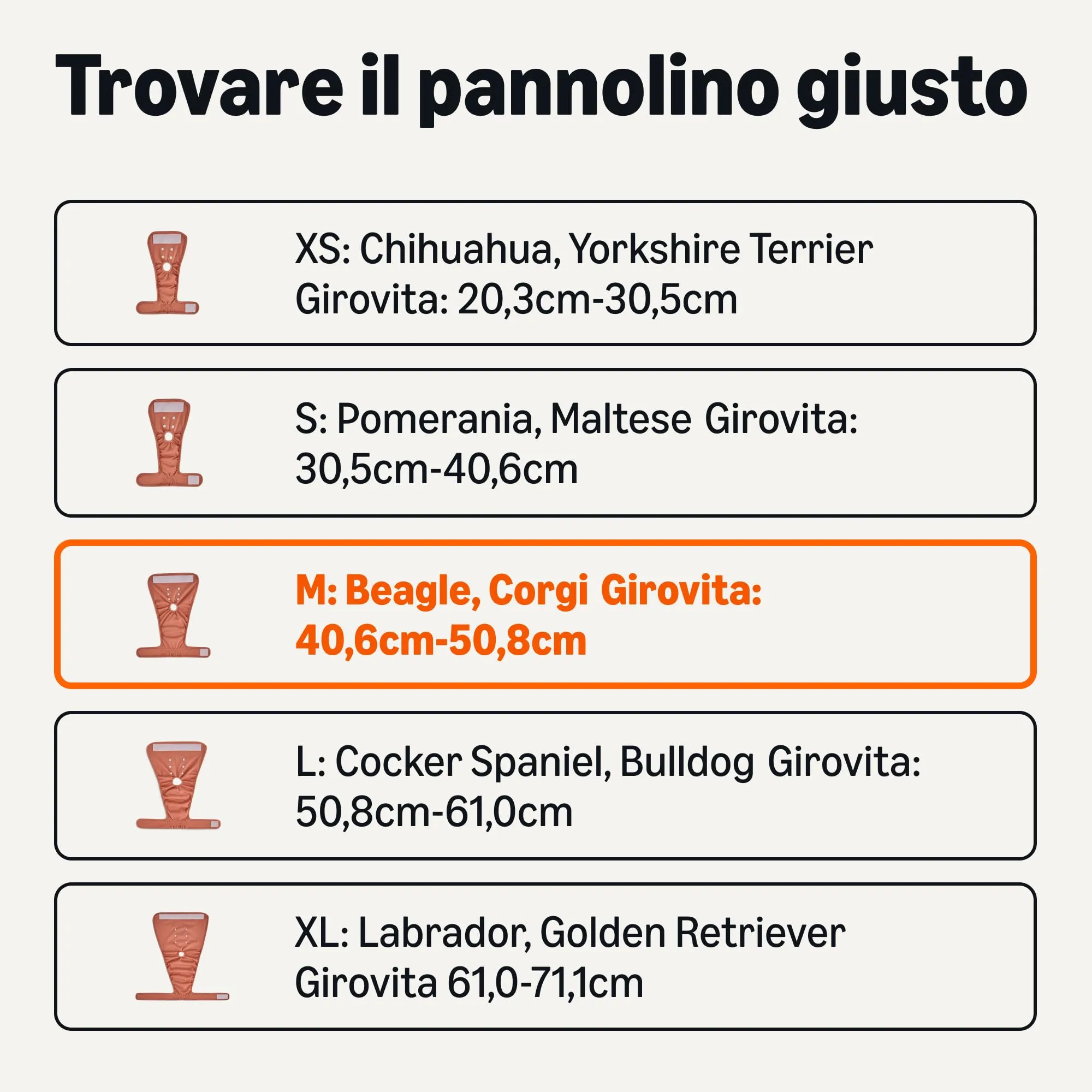 Amazon Basics, Confezione da 3 pannolini lavabili per cani femmine, taglia M - immagine 3