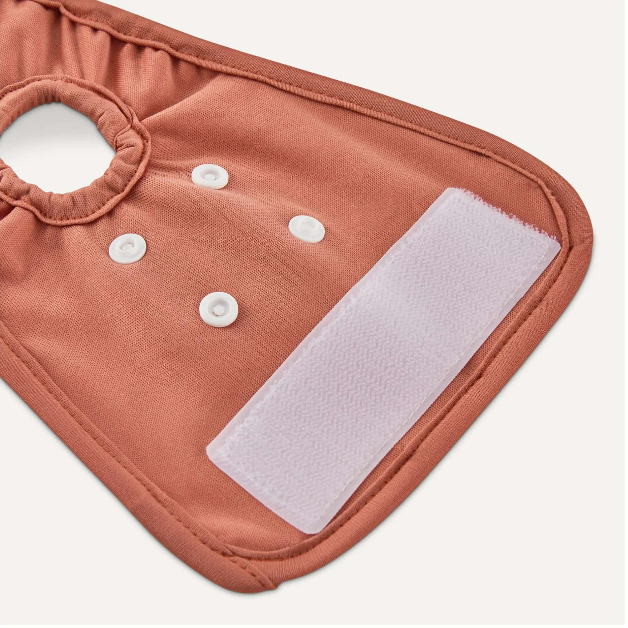 Amazon Basics, Confezione da 3 pannolini lavabili per cani femmine, taglia M - immagine 4