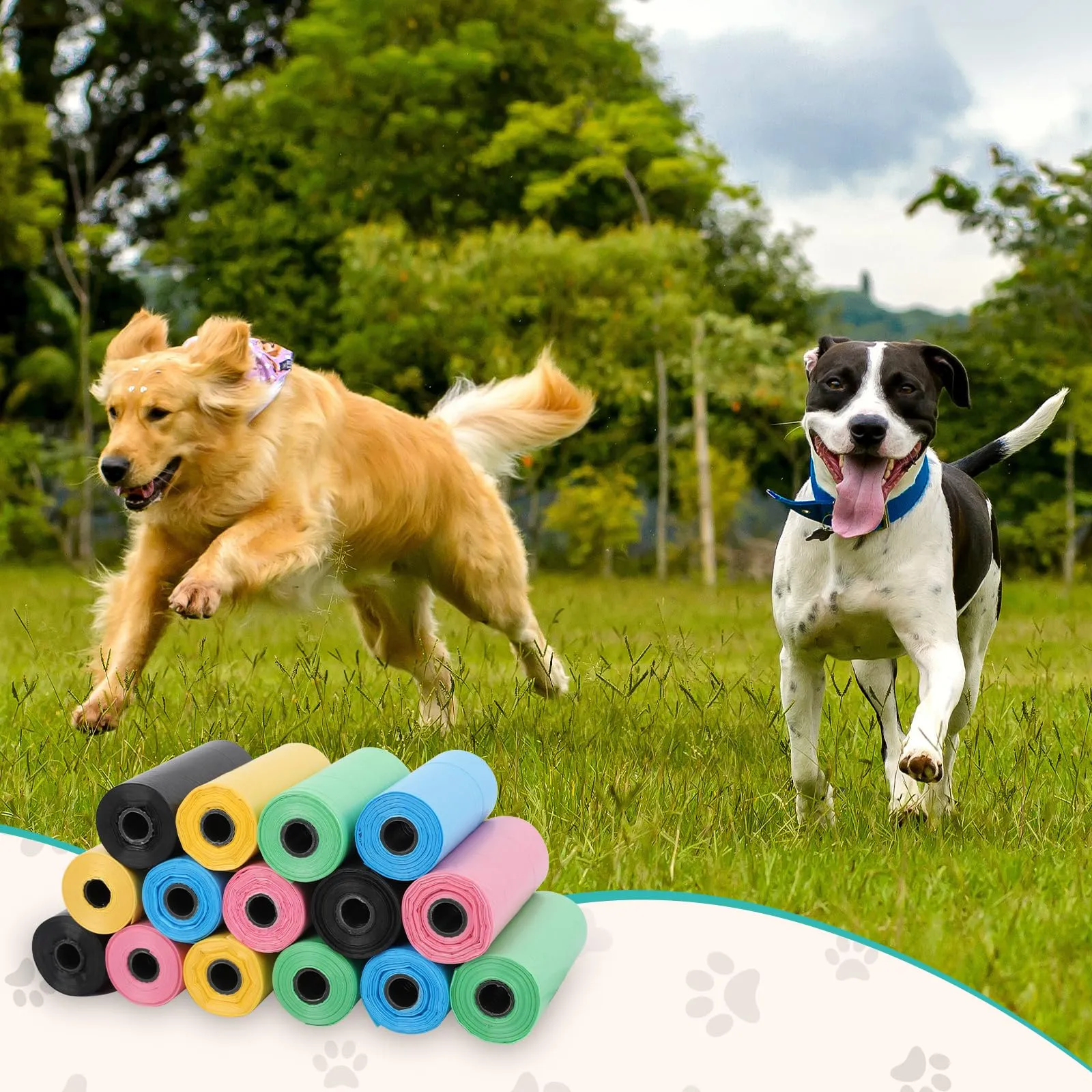 AiQInu 225 Pezzi Sacchetti Cane Cacca, Colorato Sacchetti per Cani, Portatili Bustine Canes, Sacchettis per Escrementi di Cane, 22 * 30cm (15 Rotoli, 15 per Rotolo) - immagine 6