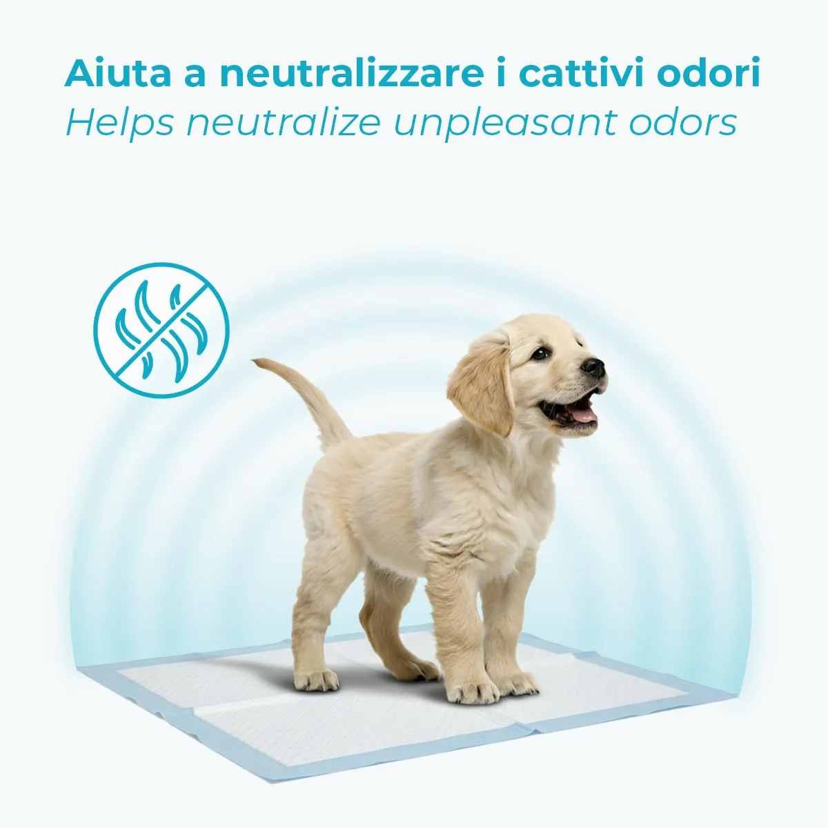 Centrovete - PipiPopo Tappetini Igienici Assorbenti Monouso - Per Cani e Gatti - Traversine con Design a 5 Strati - Angoli Adesivi e Neutralizzazione degli Odori - 3 Confezioni da 100 Pezzi - 60x90cm - immagine 5