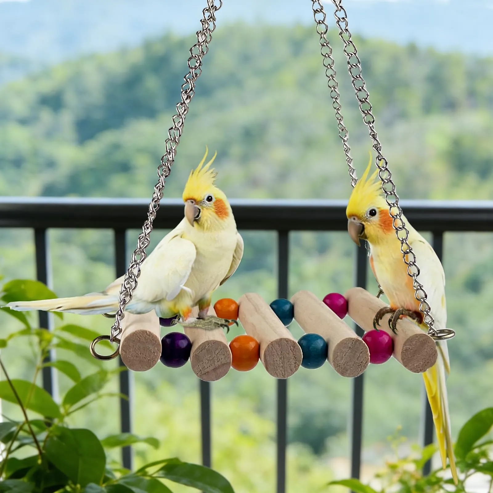 CHALVIOR Giocattoli per pappagalli per uccelli, 18 pezzi accessori per gabbia per uccelli, Altalena, Amaca, Campanelli, Giochi da Masticar, per Pappagallini, Canarino, Ara Piccoli Taglia - immagine 3