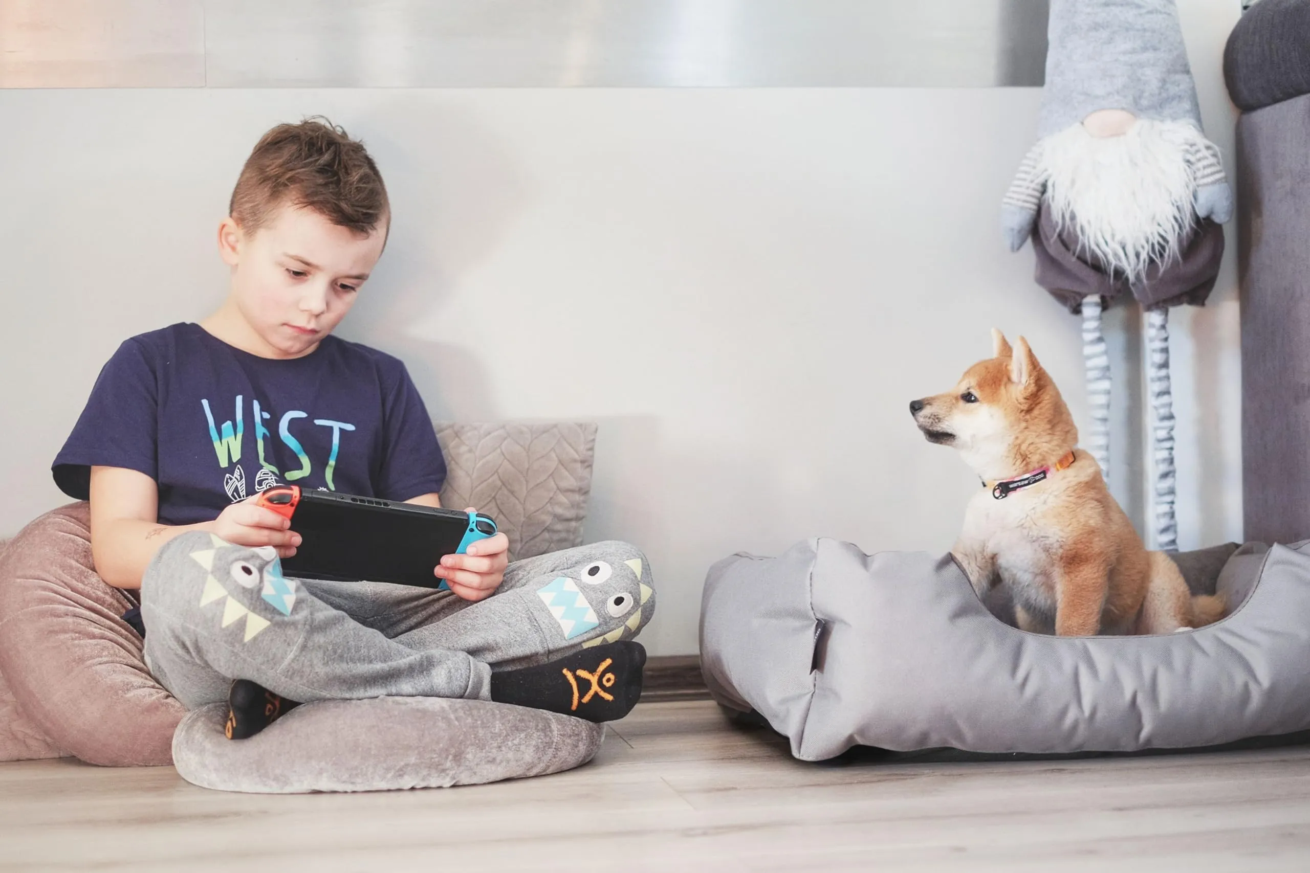 BedDog Cuccia per cani XXL - Cuscino - Divano - Copertina Rimovibile e Lavabile, Cani Medio-Grande - immagine 4