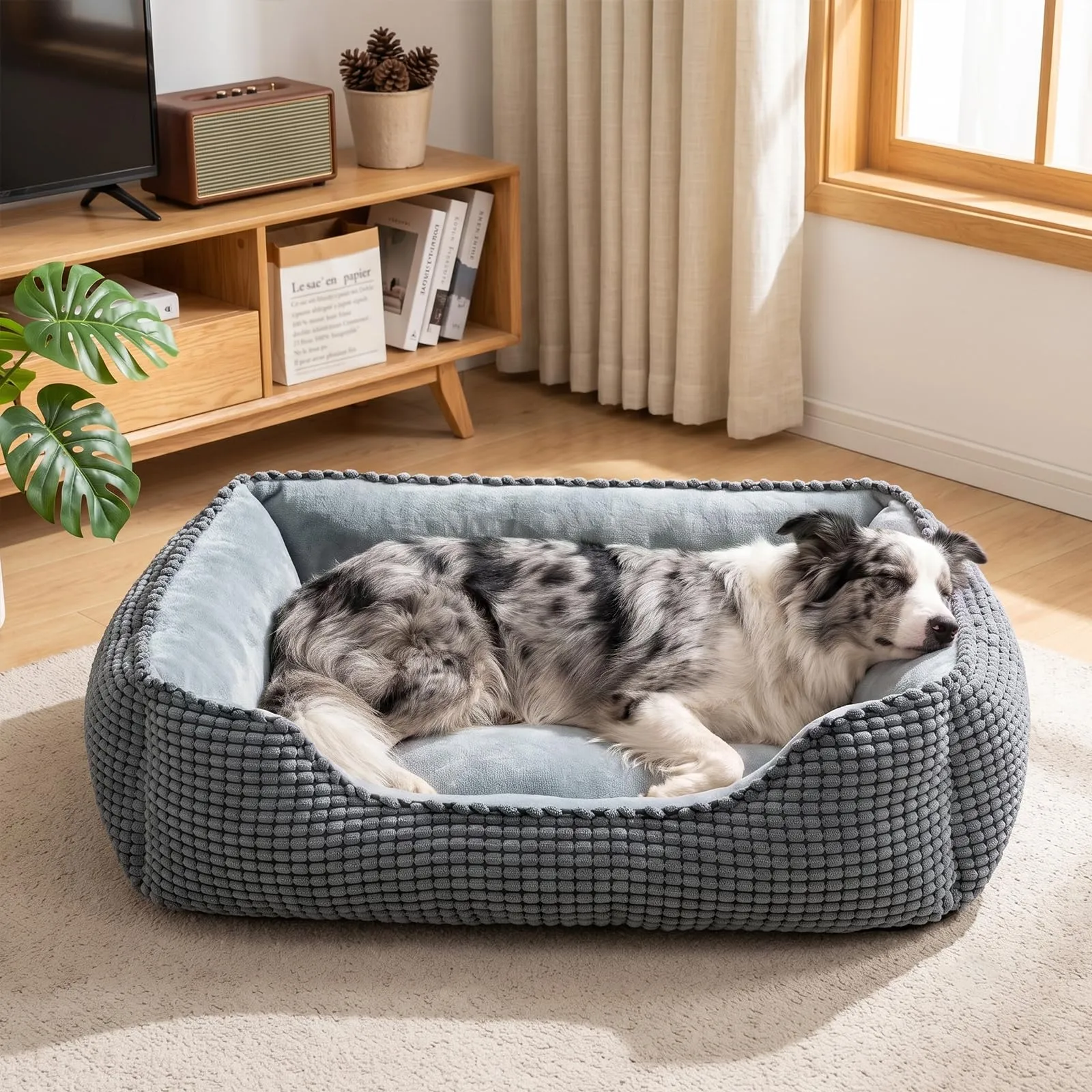 JOEJOY Cuccia Cane Interno Media, Cuccia per Cani Lavabile, 76x61x23cm - immagine 1