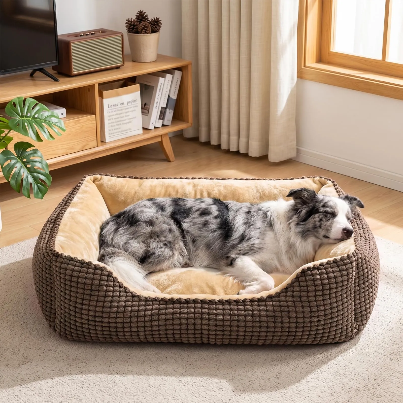 JOEJOY Cuccia Cane Interno Media, Cuccia per Cani Lavabile, 76x61x23cm - immagine 1