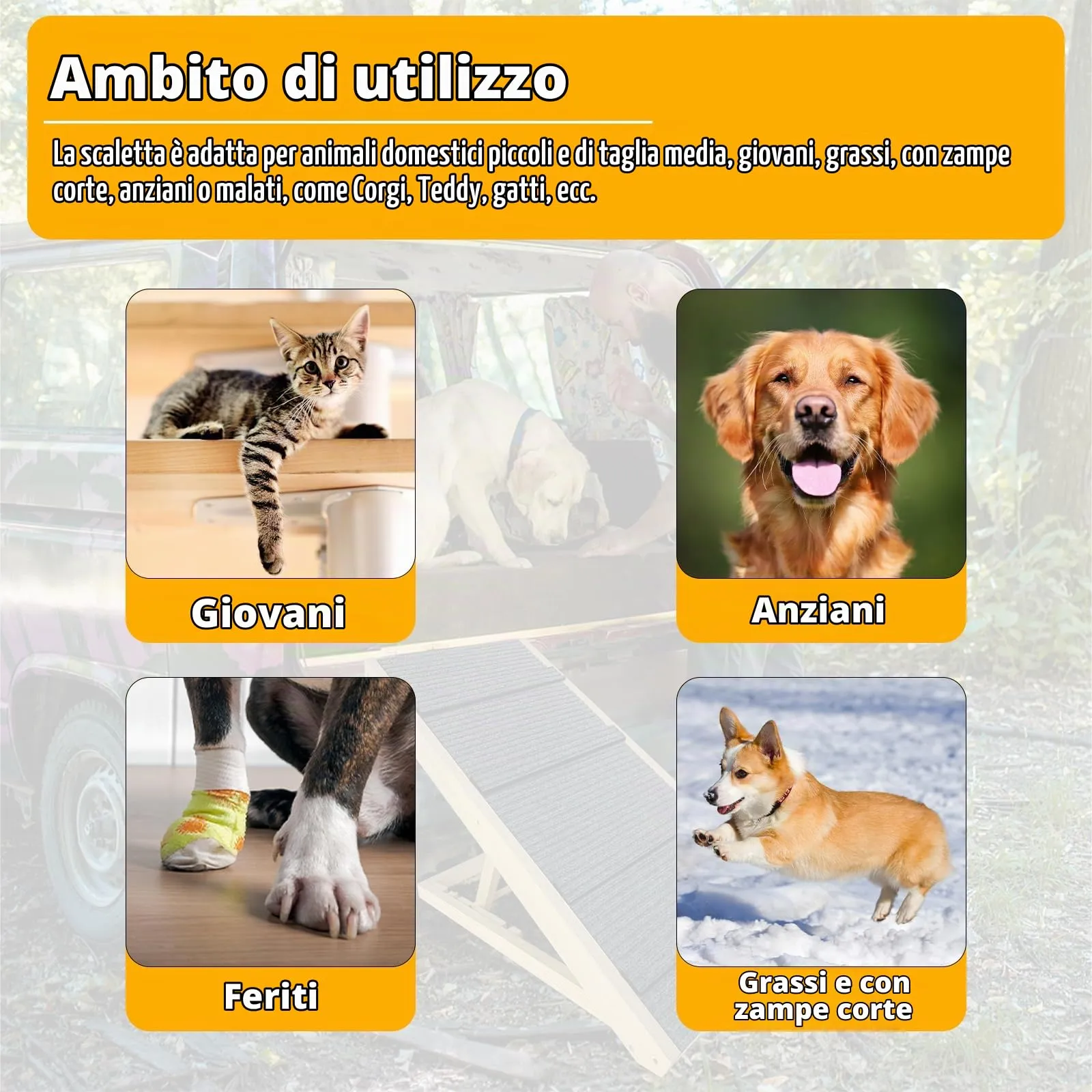 UISEBRT Scala per cani pieghevole in legno, scala per animali domestici fino a 100 kg - immagine 4