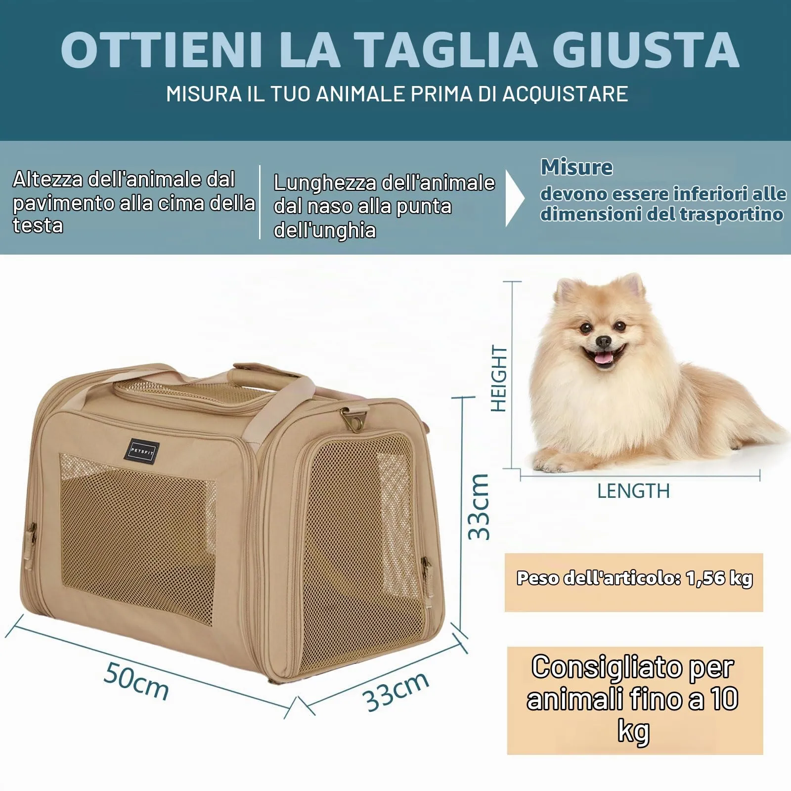 Petsfit Trasportino Grande per Gatti, Leggero per Viaggi, Trasportino per Animali Domestici per Cani Piccoli e Gatti, Trasportini per Cani con Materassino Espandibile, Trasportino per Animali - immagine 7