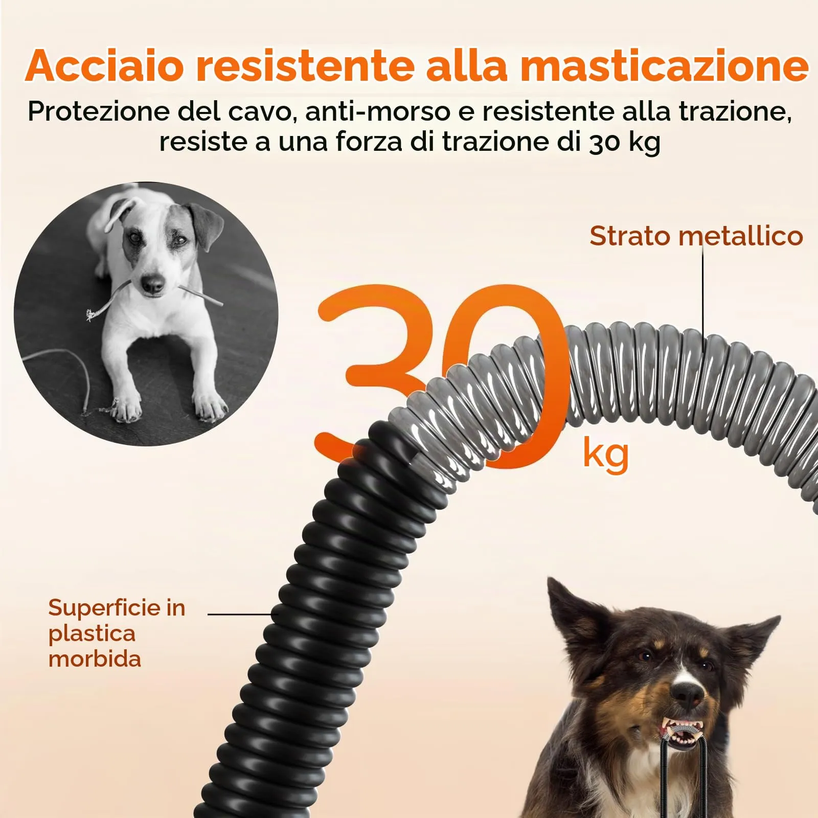 Pecute Tappetino Riscaldante per Cani e Gatti, Tappeti Riscaldanti per Cane - immagine 5