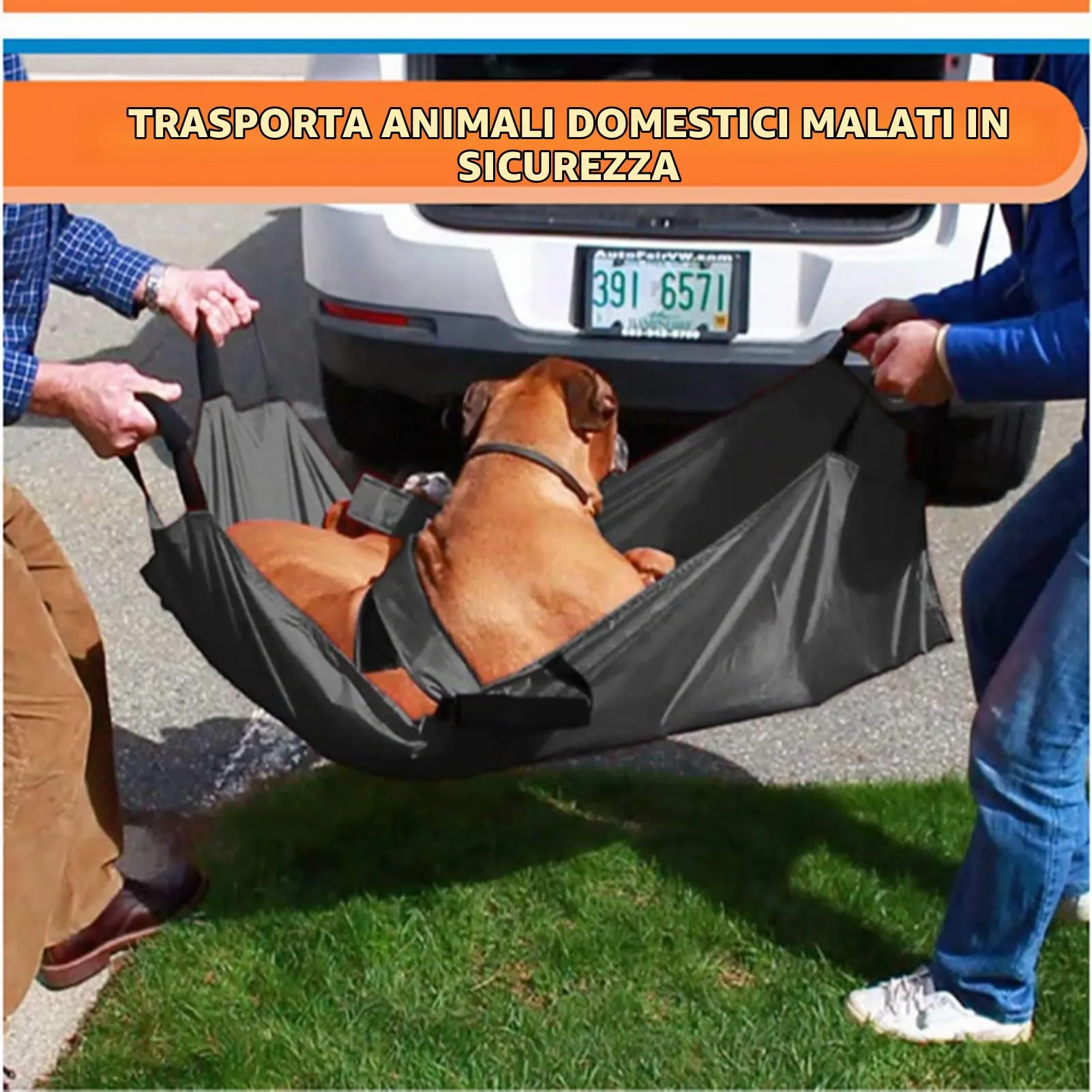 Barella Per Il Trasporto Di Cani, Trasportino Di Emergenza Per Animali Con Cinghia Di Sicurezza, Telo Scorrevole Per Aiuti con Cintura di Sicurezza, 6 Manici (Nero) - immagine 3