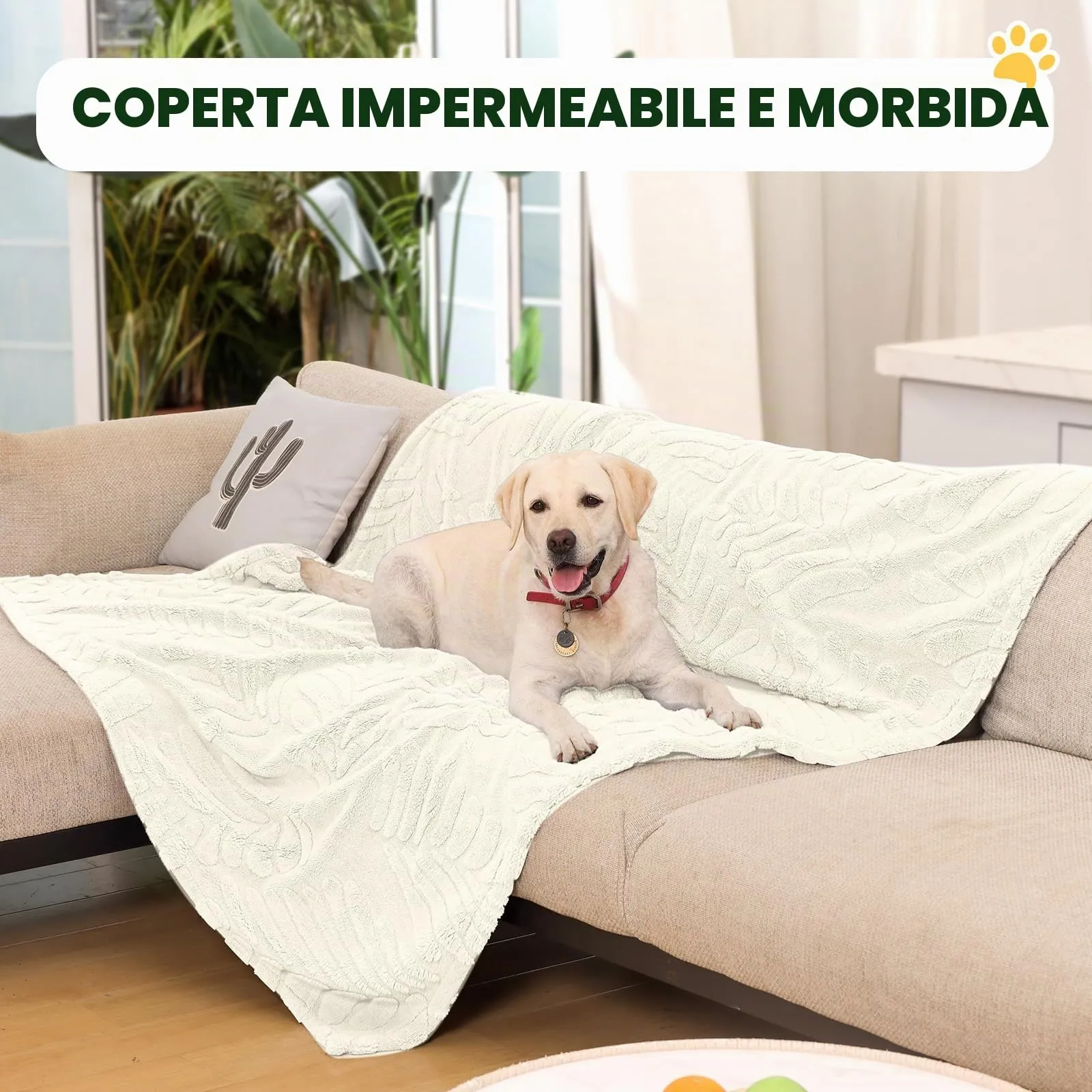 BaoDan Coperta per Cani Gatto Lavabile, Coperta Cane Impermeabile 73x100cm - immagine 4