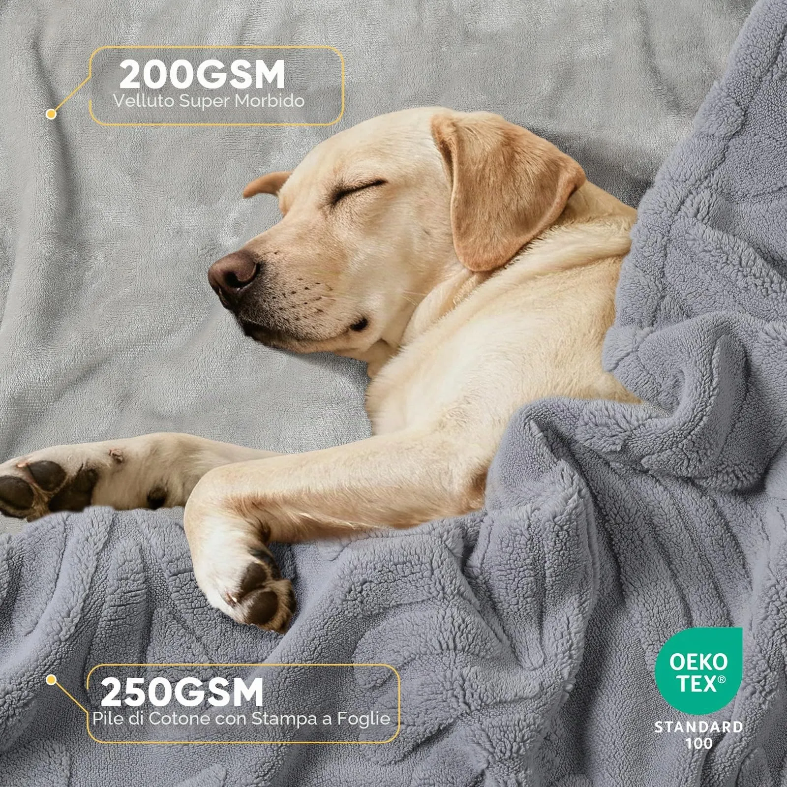 BaoDan Coperta per Cani Gatto Lavabile, 100x120cm Coperta Cane Impermeabile - immagine 2