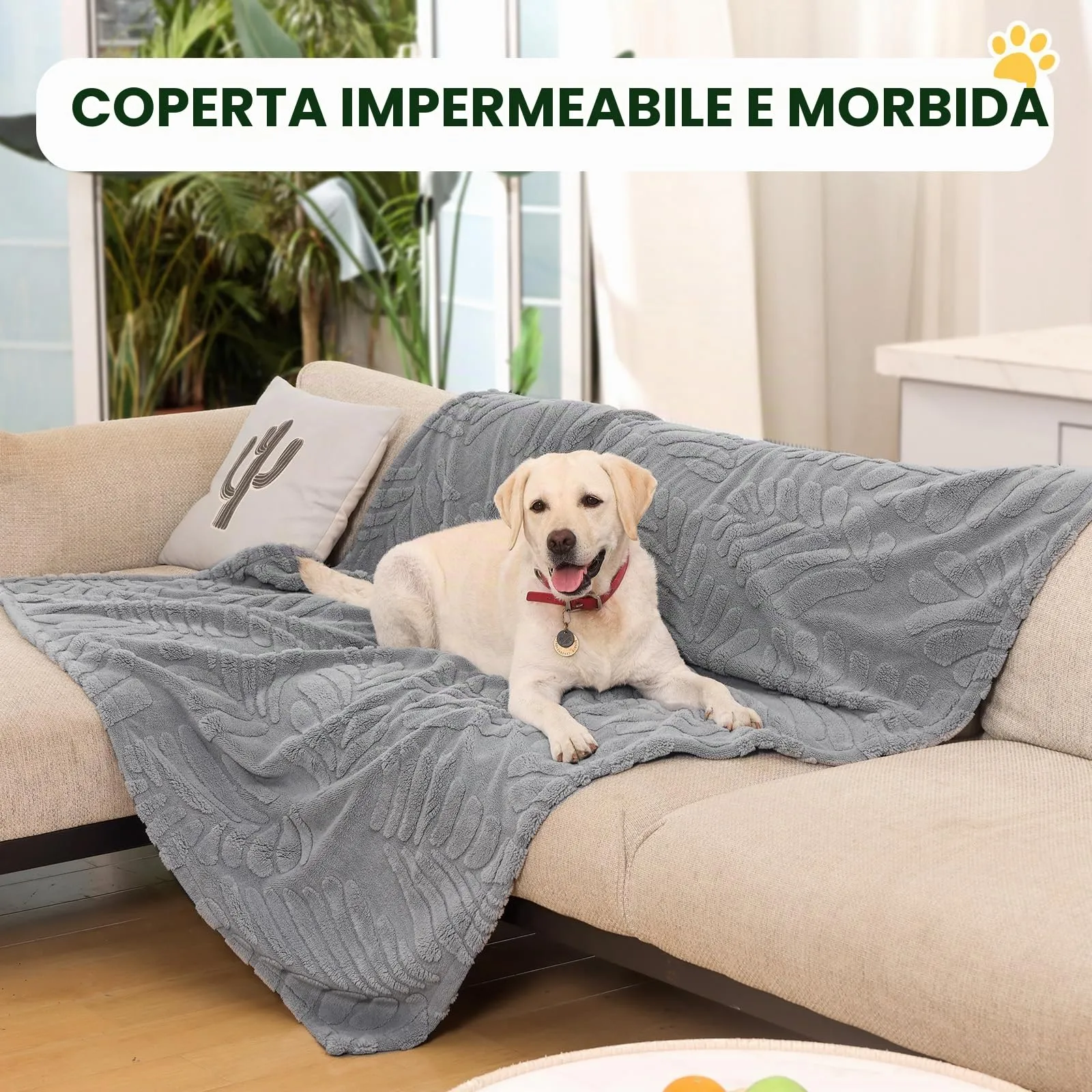 BaoDan Coperta per Cani Gatto Lavabile, 100x120cm Coperta Cane Impermeabile - immagine 4