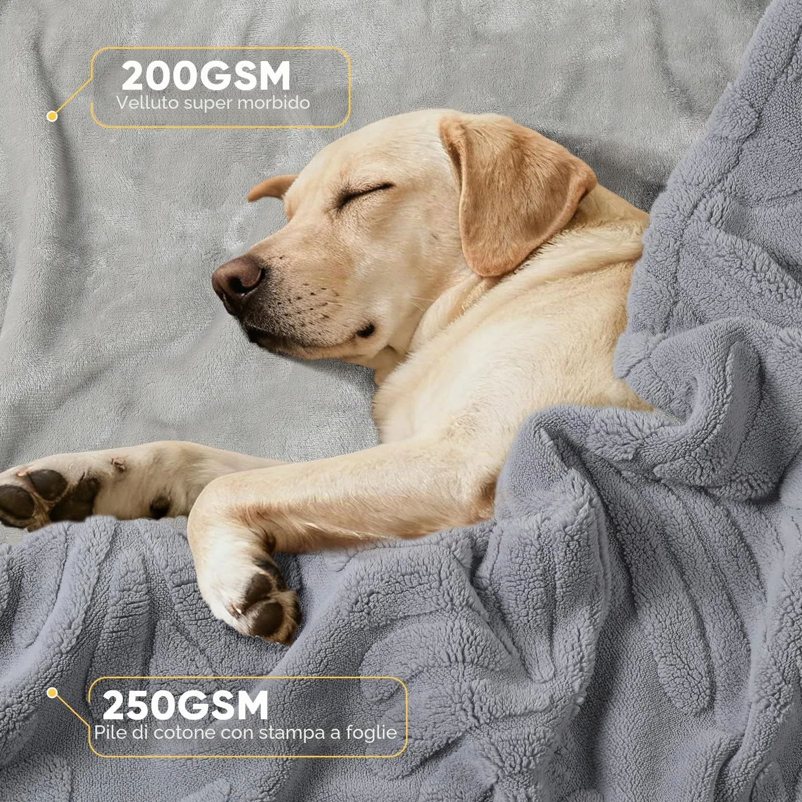 BaoDan Coperta per Cani Gatto Lavabile, 127x150cm Coperta Cane Impermeabile - immagine 2