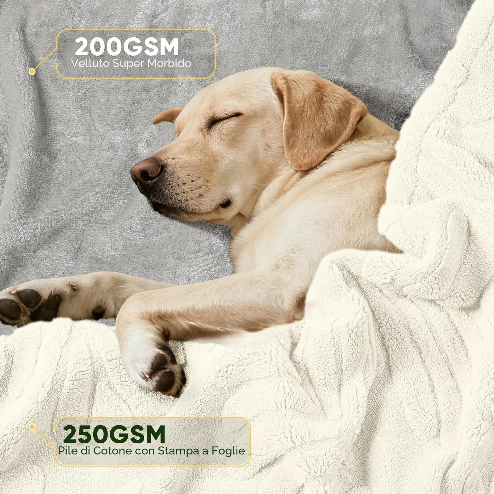 BaoDan Coperta per Cani Gatto Lavabile, Coperta Cane Impermeabile 100x120cm - immagine 2