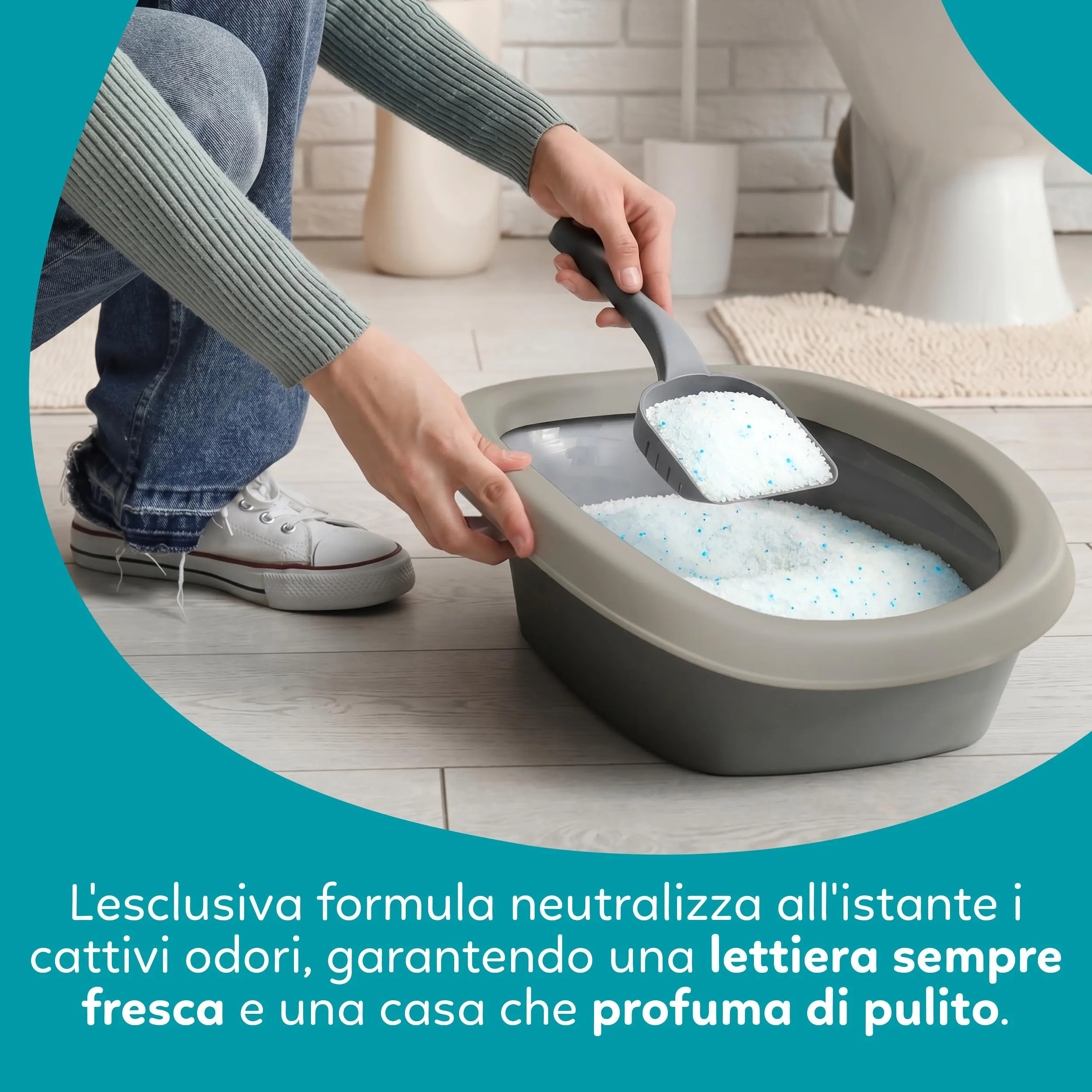 AQPET Catty Lettiera per Gatti al Silicio 30 L (6x5 L), Profumo Talco - immagine 4