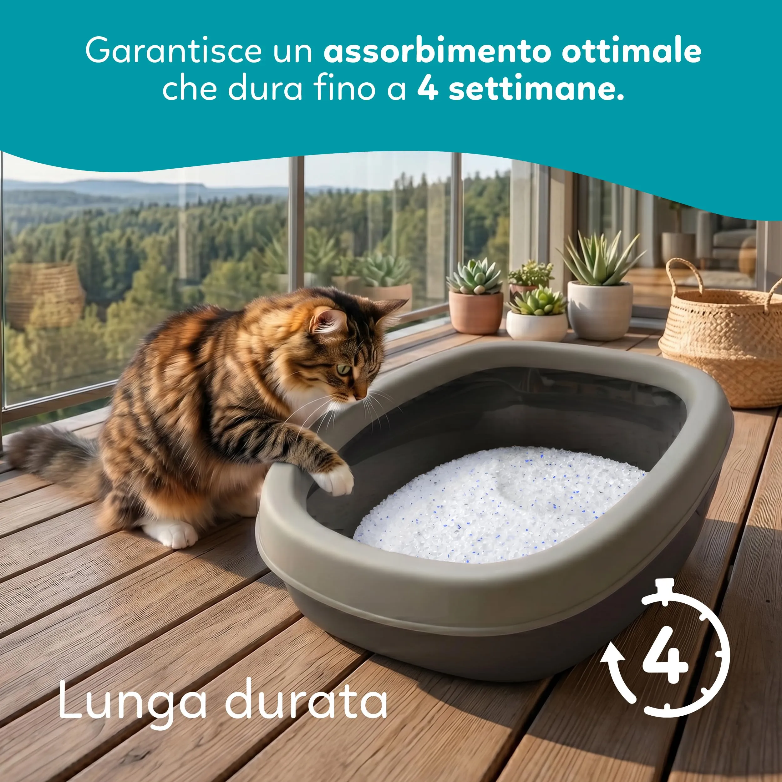 AQPET Catty Lettiera per Gatti al Silicio 30 L (6x5 L), Profumo Neutro - immagine 3