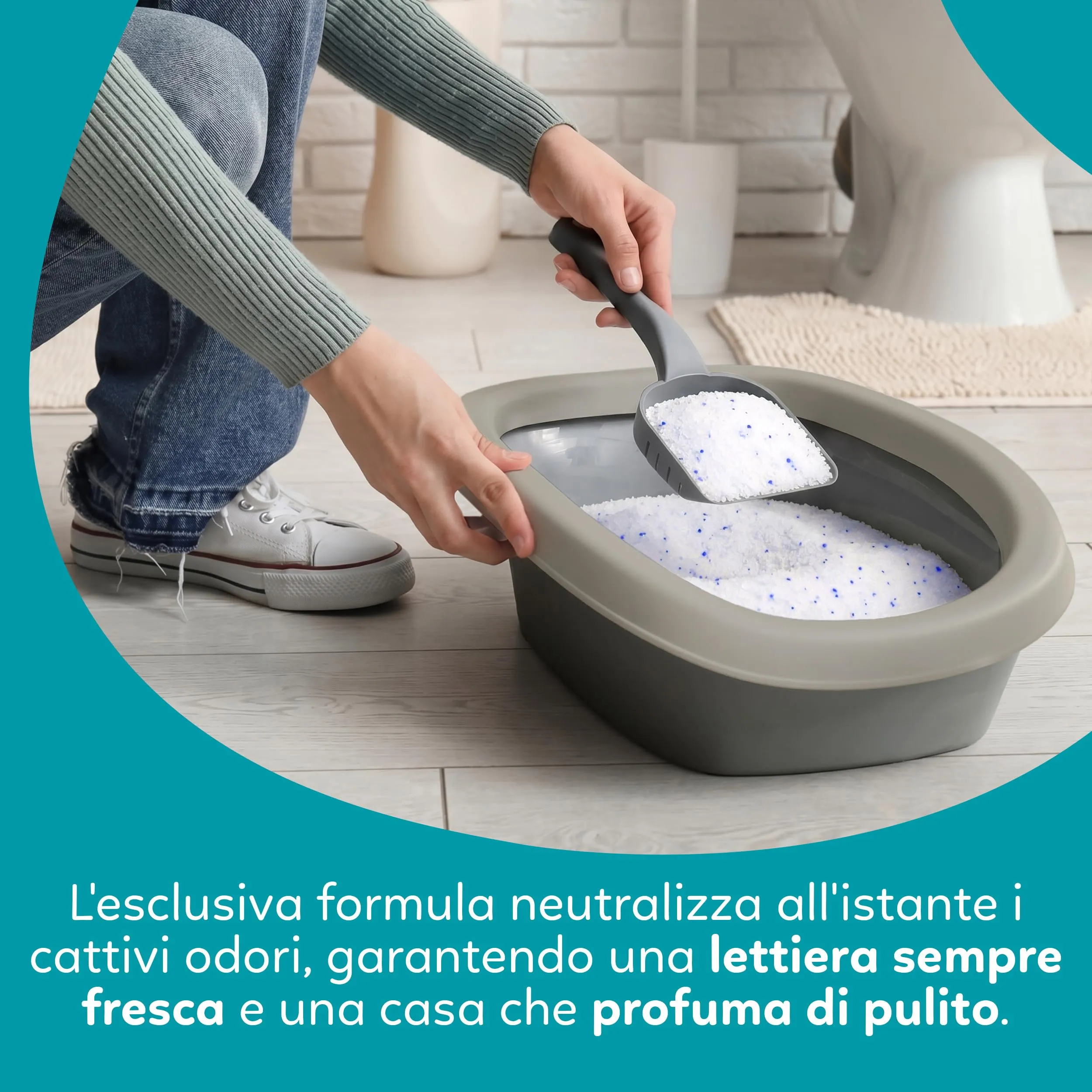 AQPET Catty Lettiera per Gatti al Silicio 30 L (6x5 L), Profumo Neutro - immagine 4