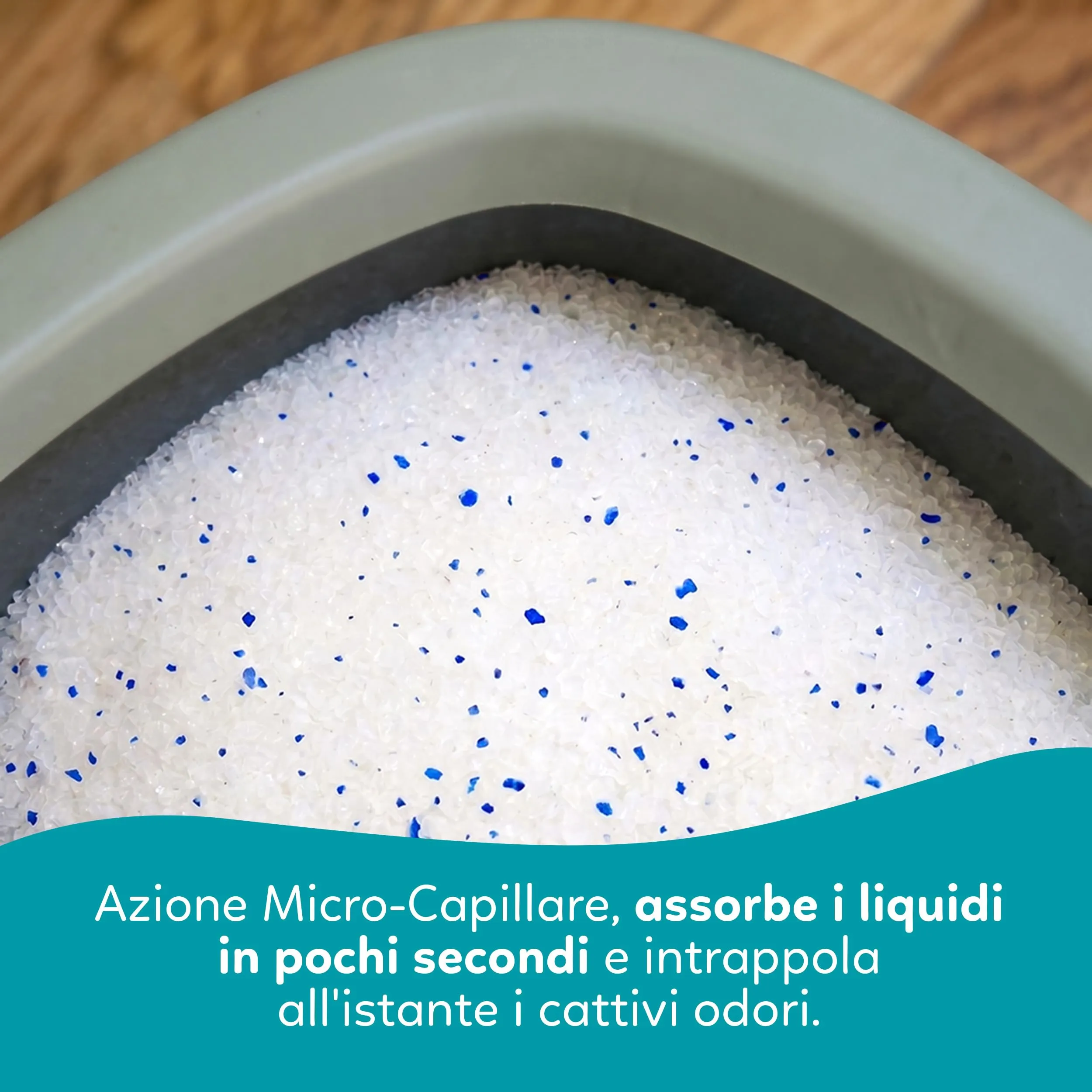 AQPET Catty Lettiera per Gatti al Silicio 30 L (6x5 L), Profumo Neutro - immagine 6